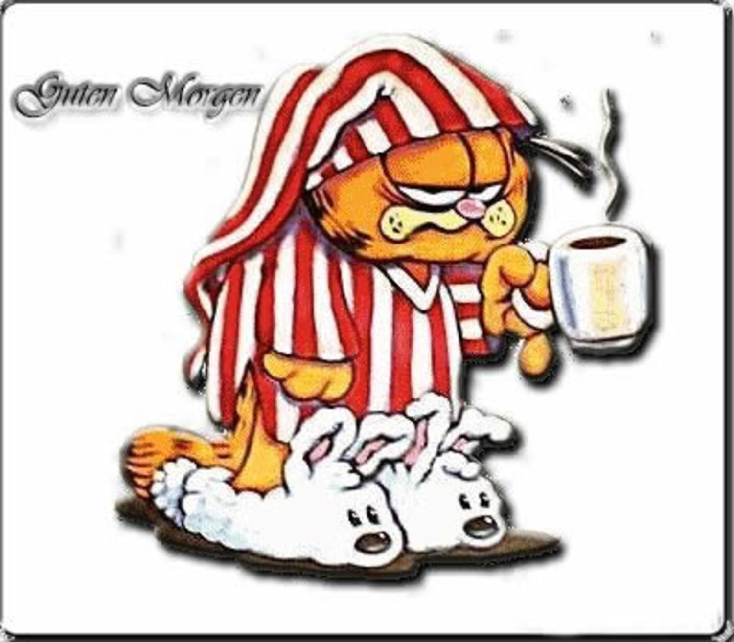 Garfield bilder Guten Morgen WhatsApp 605