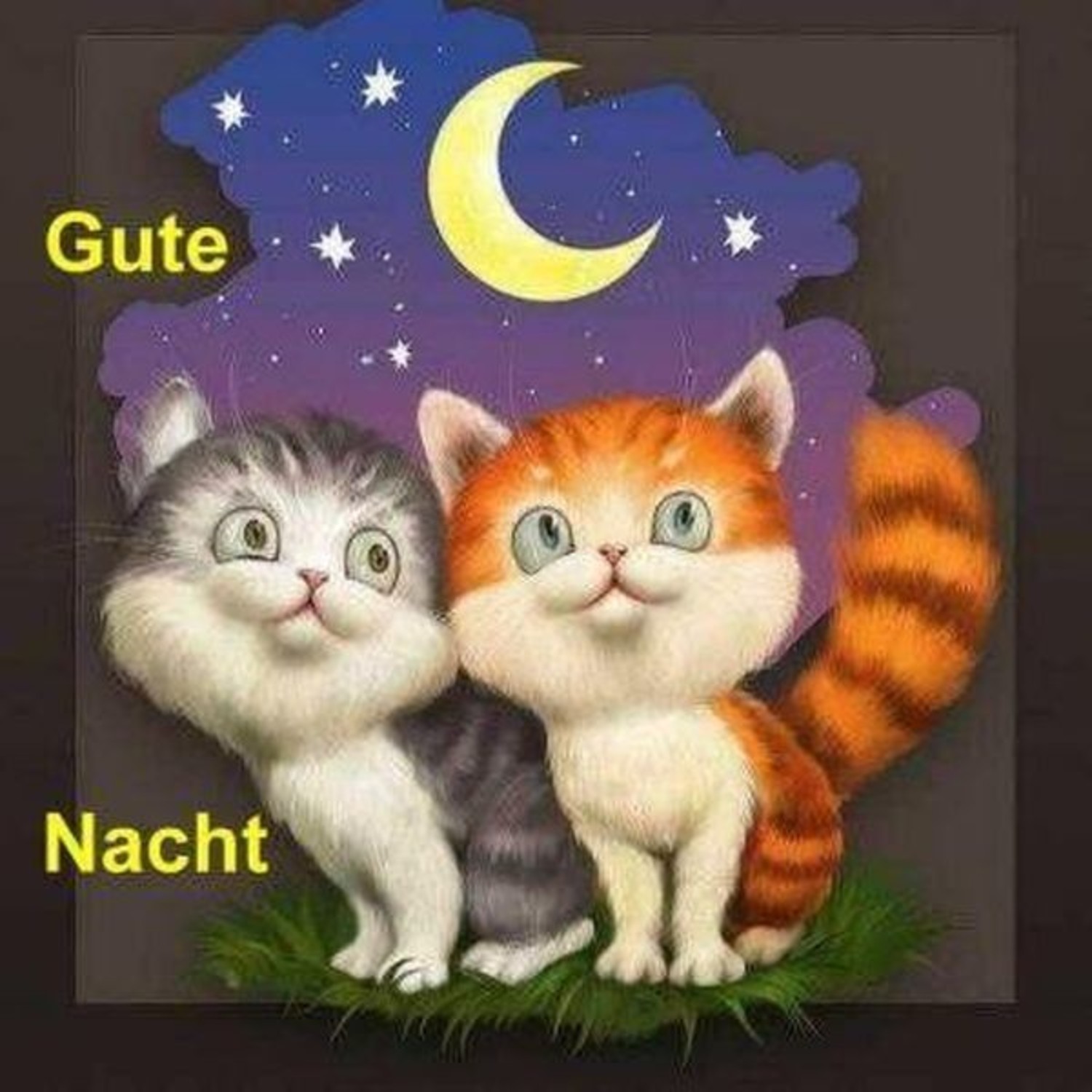 Grüße kostenlos Gute Nacht 596