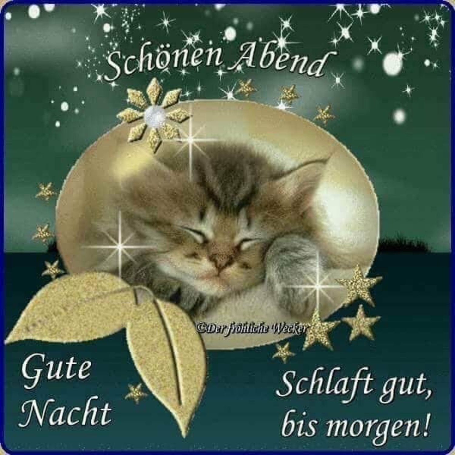 Gute Nacht bilder auf Facebook 821