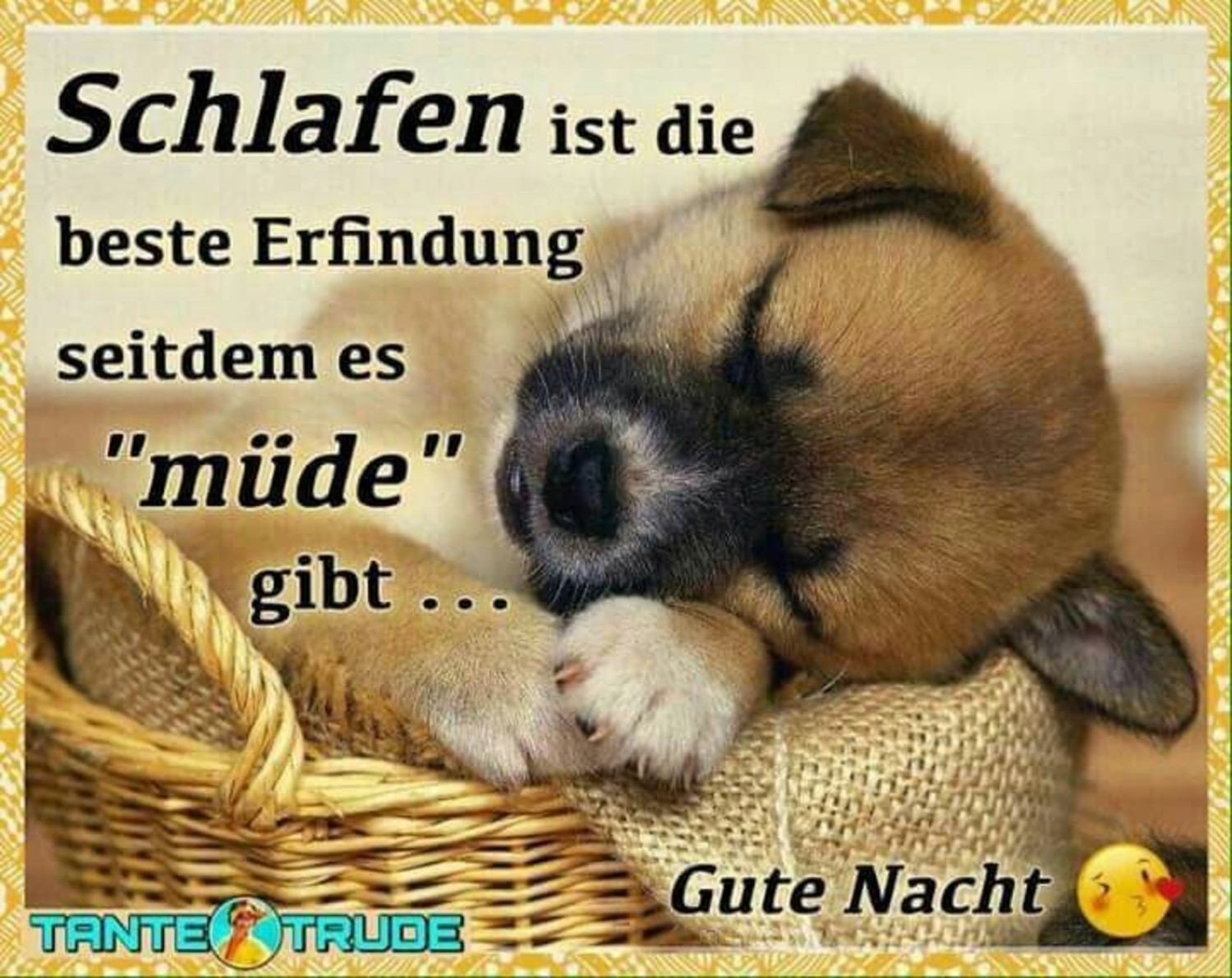 Gute Nacht bilder auf WhatsApp 796