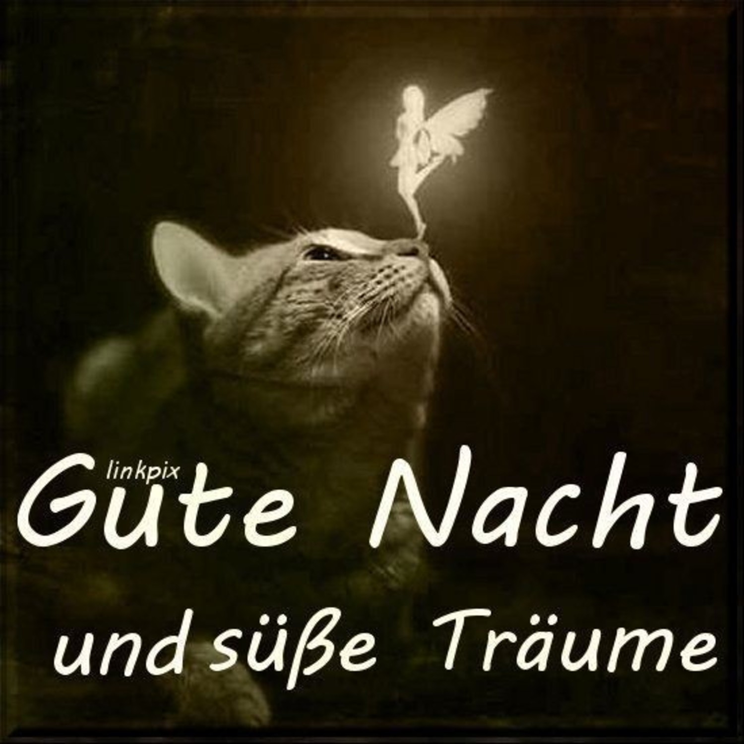 Grüsse gute whatsapp nacht per Gute Nacht