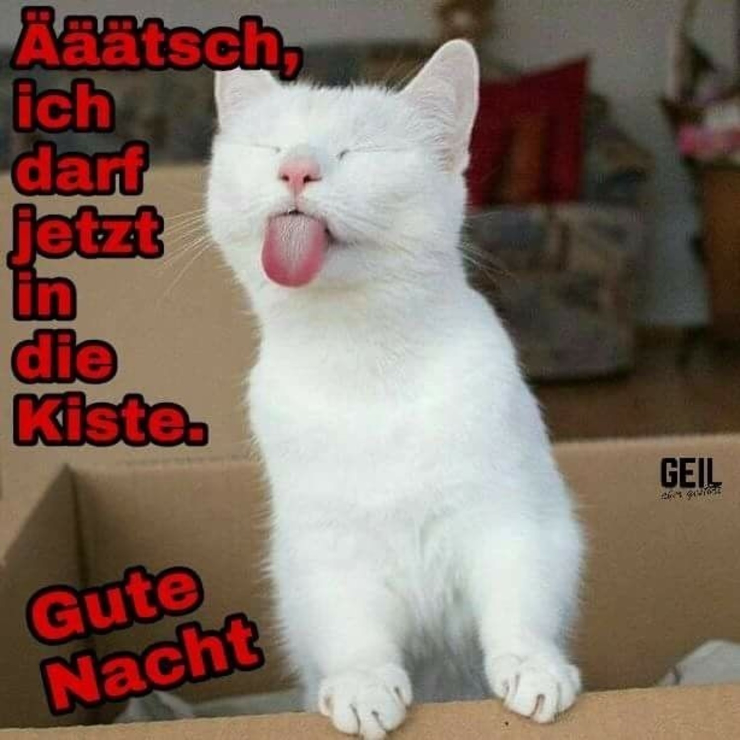 Gute Nacht bilder auf WhatsApp 807