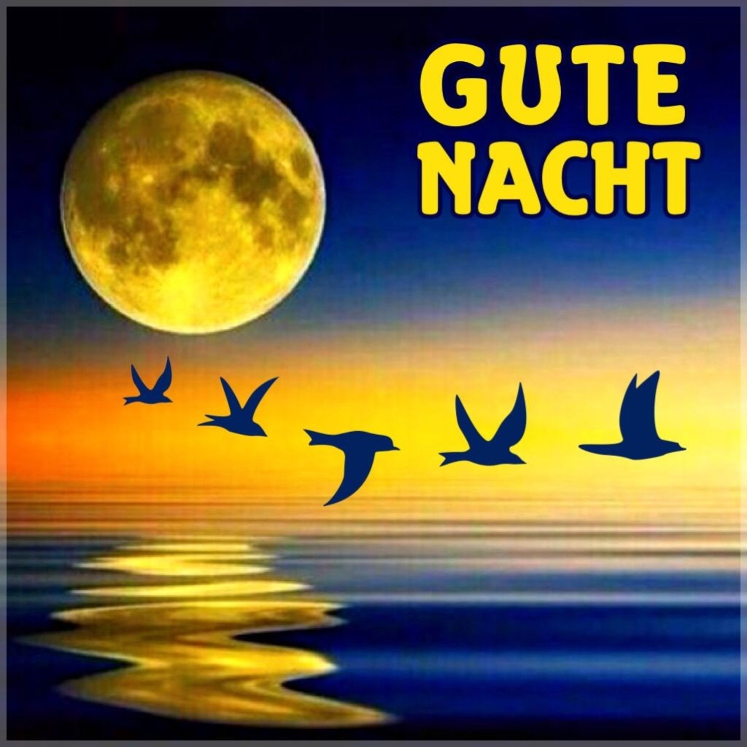 Gute Nacht bilder für WhatsApp kostenlos 884