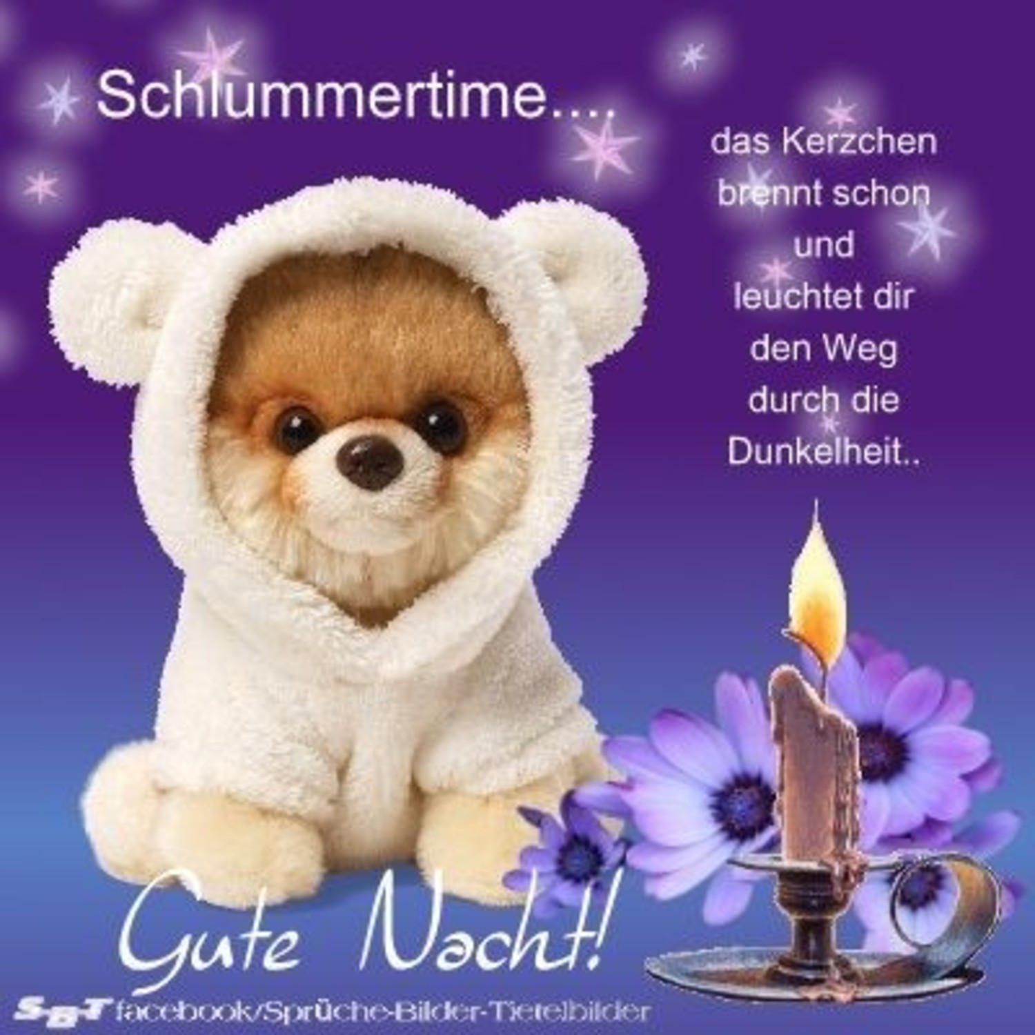 Gute Nacht bilder kostenlos Facebook 953