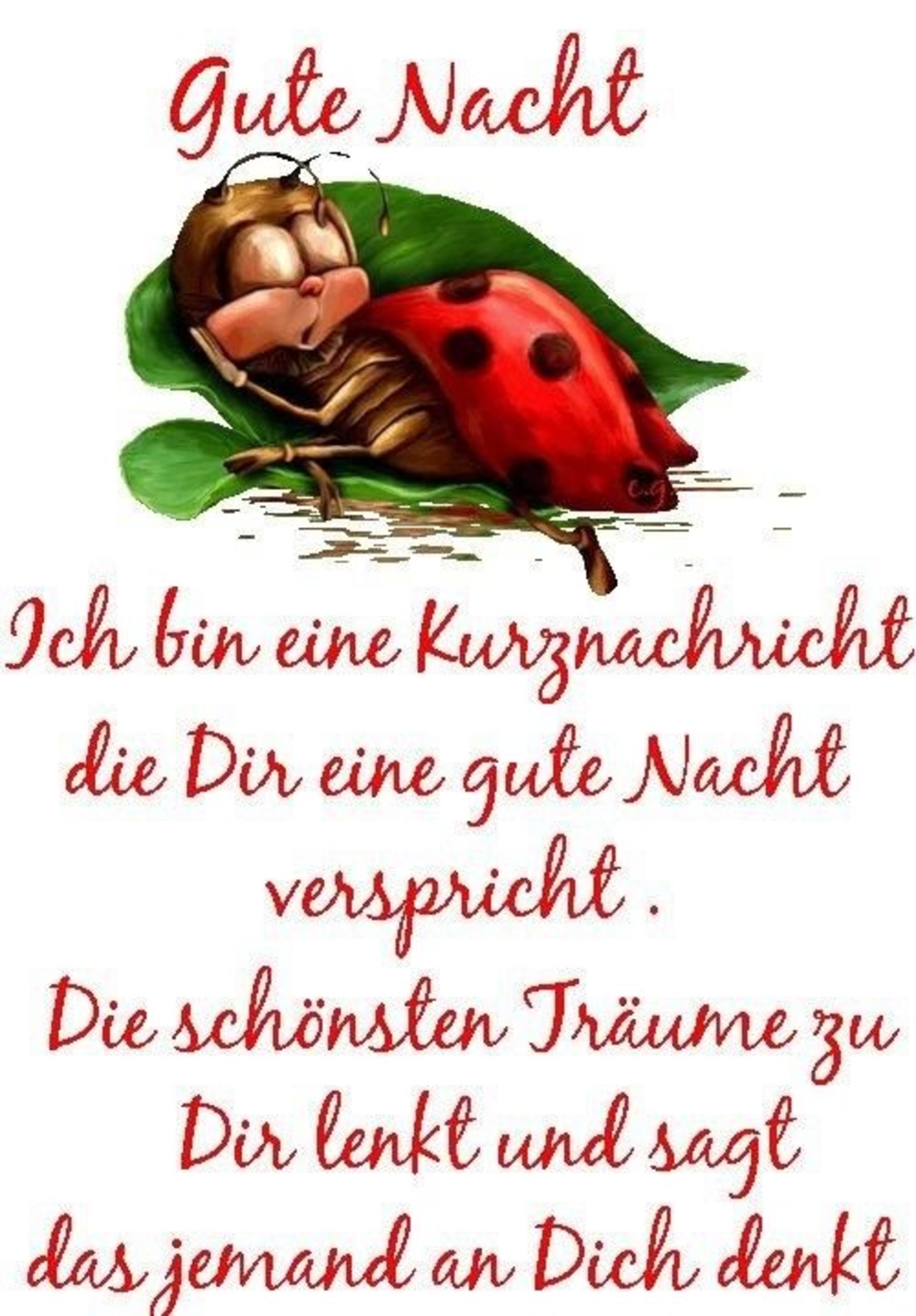 Gute Nacht bilder kostenlos Facebook 958