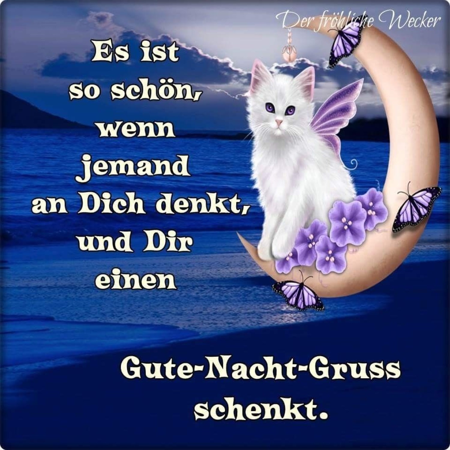 Kollege verliebt in mich Gute nacht grüße kostenlos