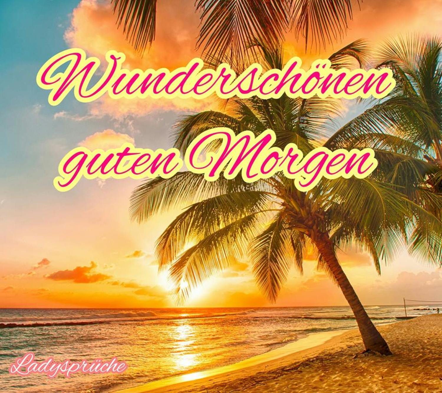 Guten Morgen 523
