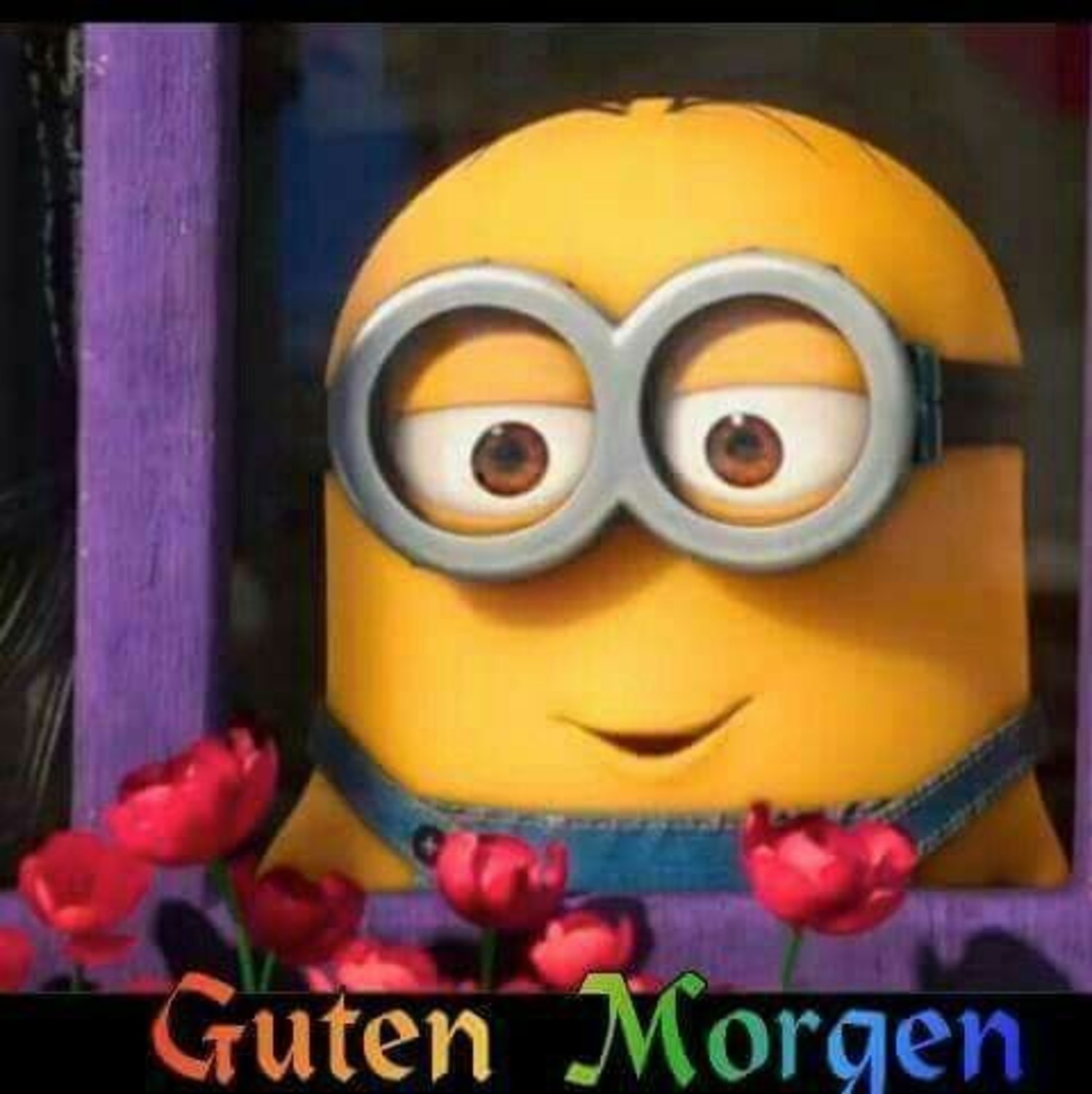 Guten Morgen Minions GB Pics 535