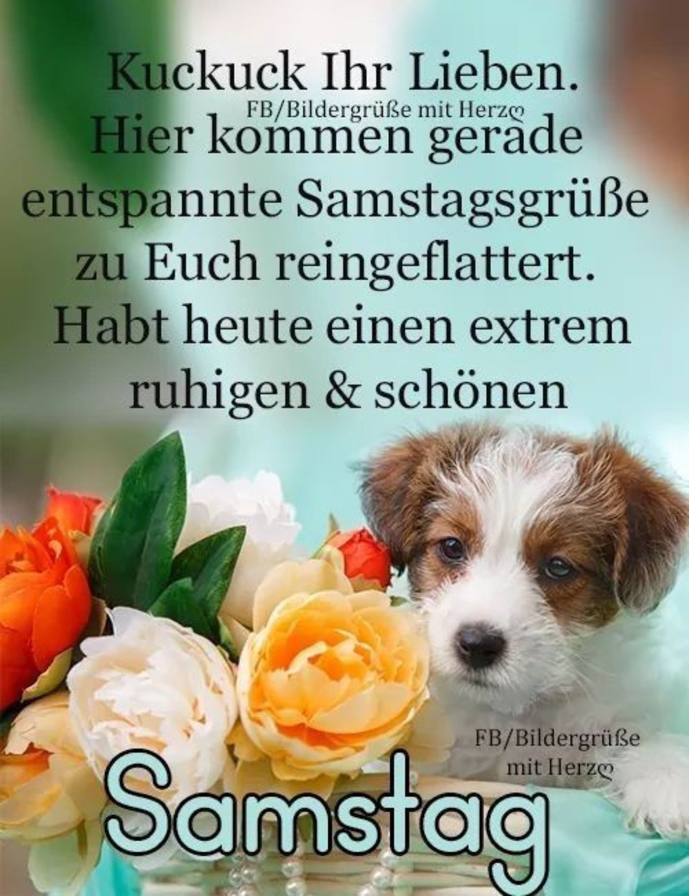 Schonen Samstag Archives Seite 38 Von 48 Gbpicsbilder Com
