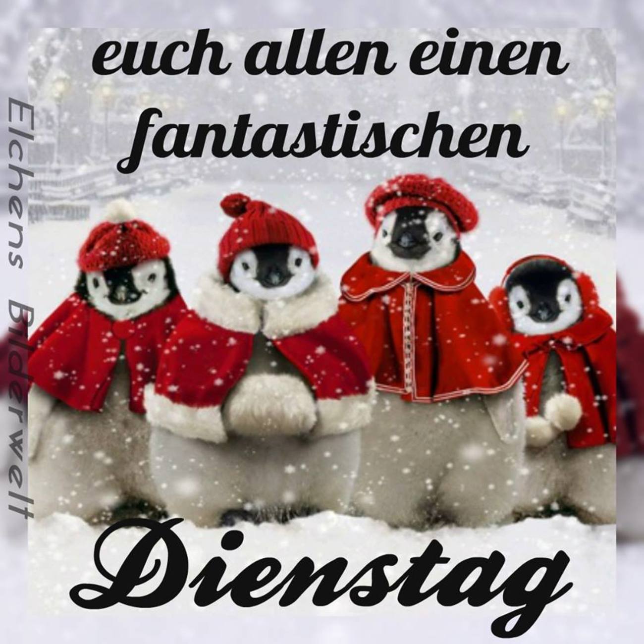 Guten Morgen Schönen Dienstag Weihnachten 53