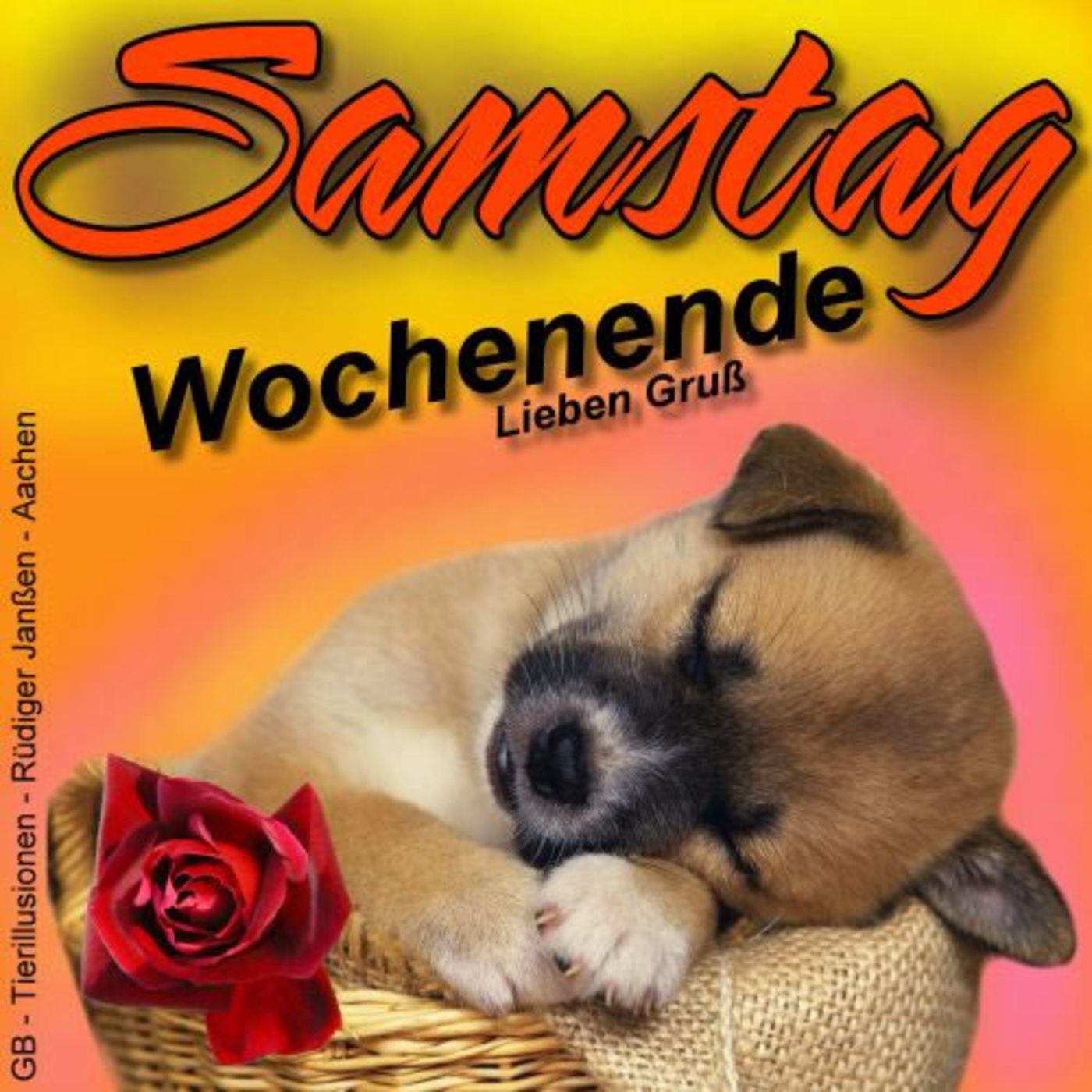 Guten Morgen Schönen Samstag 241