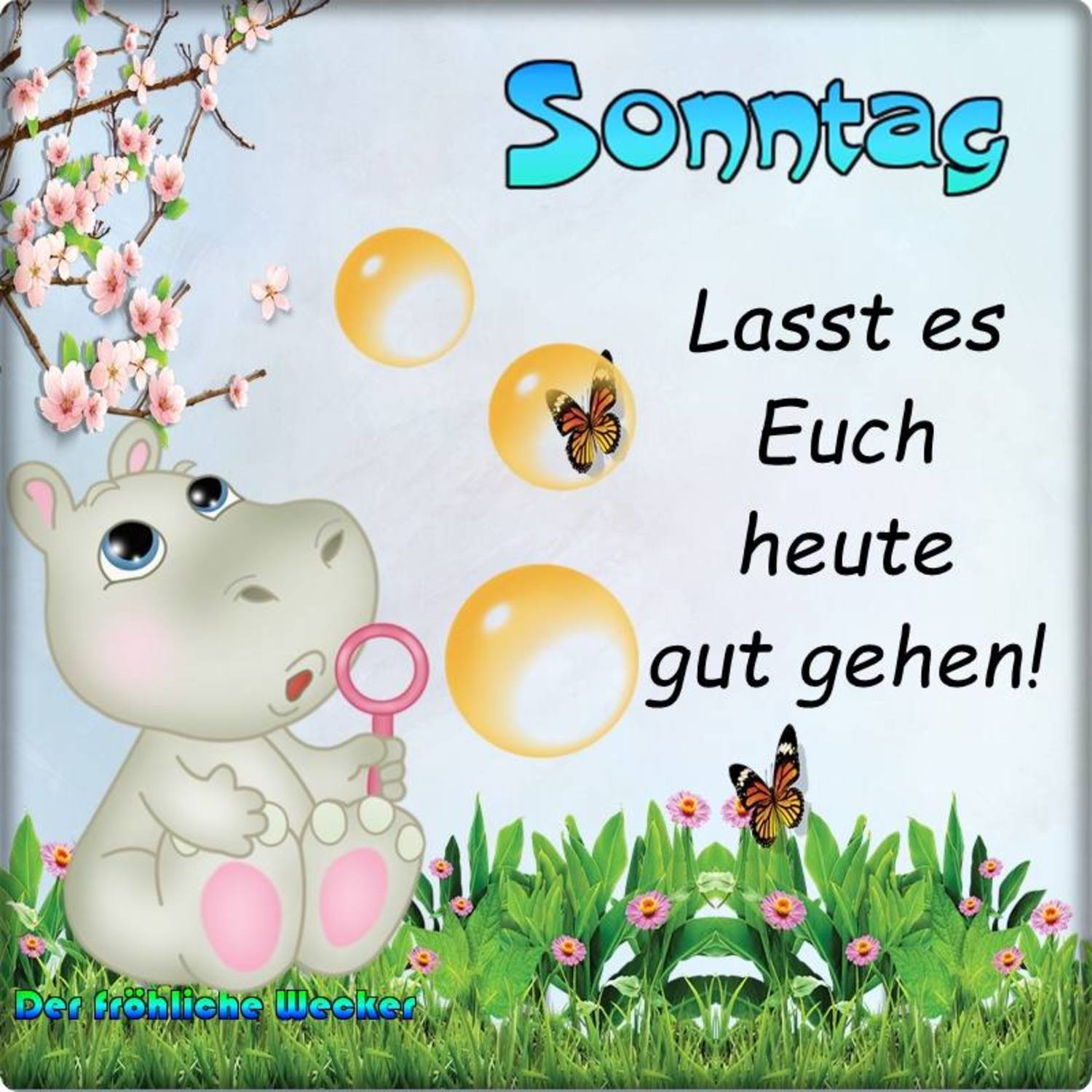 Guten Morgen Schönen Sonntag 166