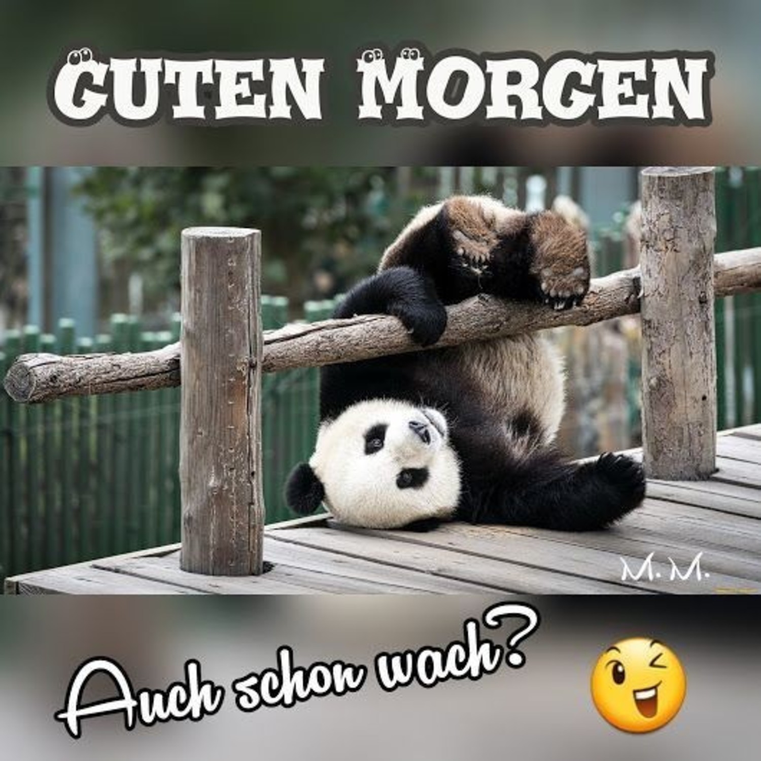 Guten Morgen auch schon wach 626