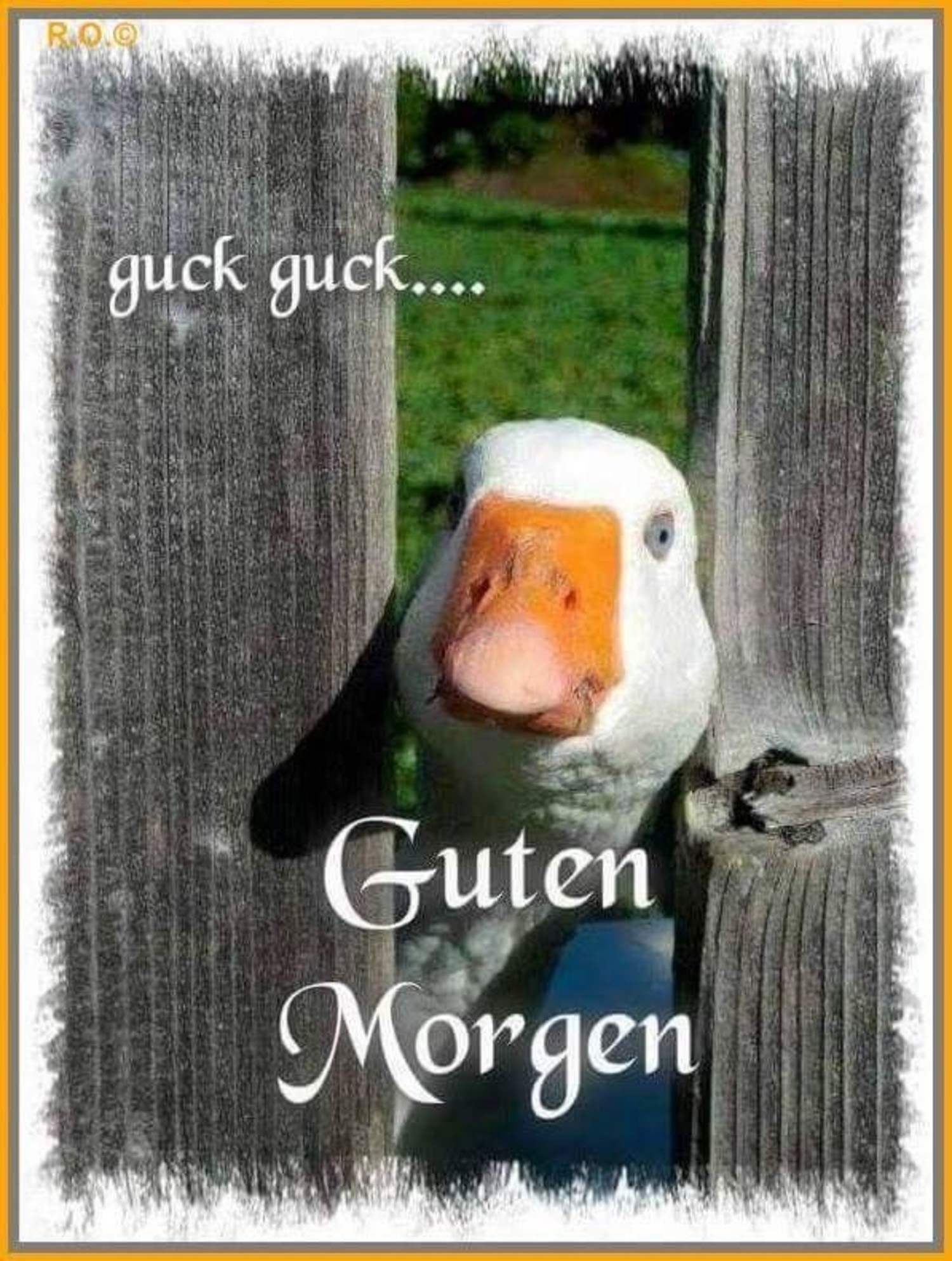 46+ Guten Morgen Bilder Lustig Kostenlos , Bilder Lustig Guten Bilder