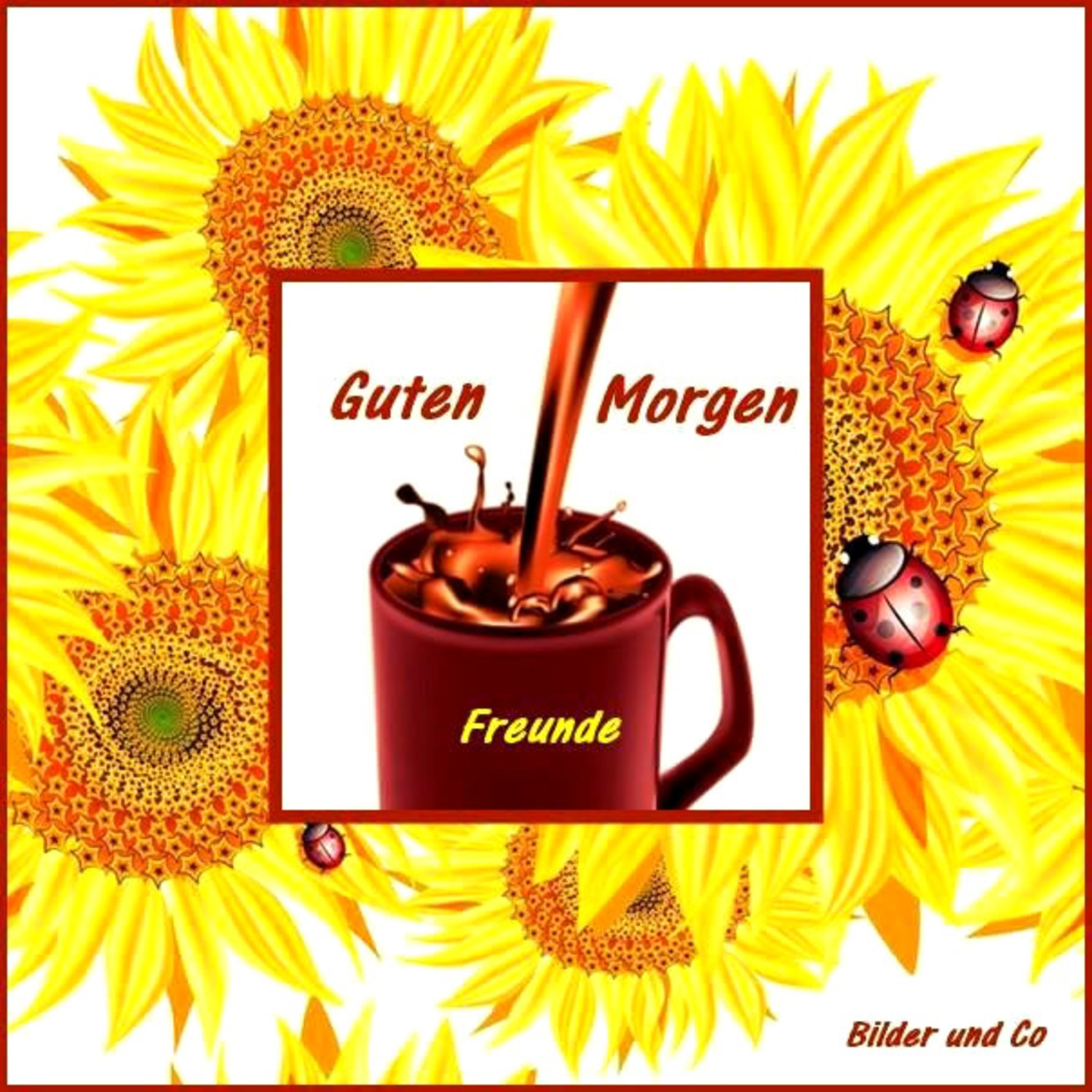 Guten Morgen freunde 763