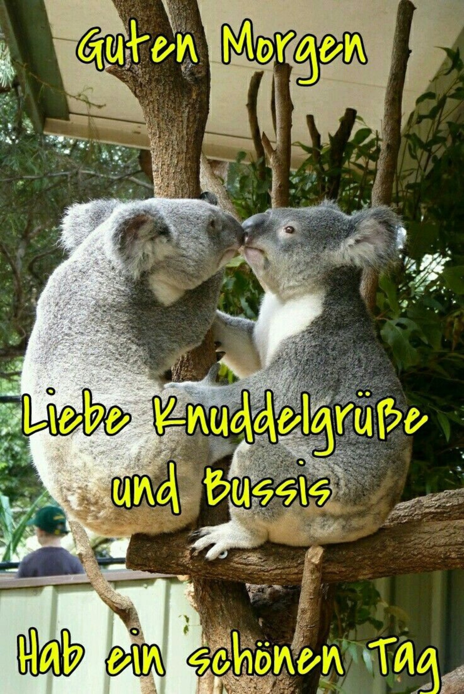 Sprüche bussi Guten Morgen