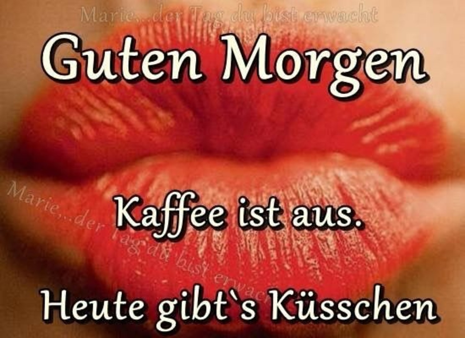 Guten Morgen mein Lieber 664