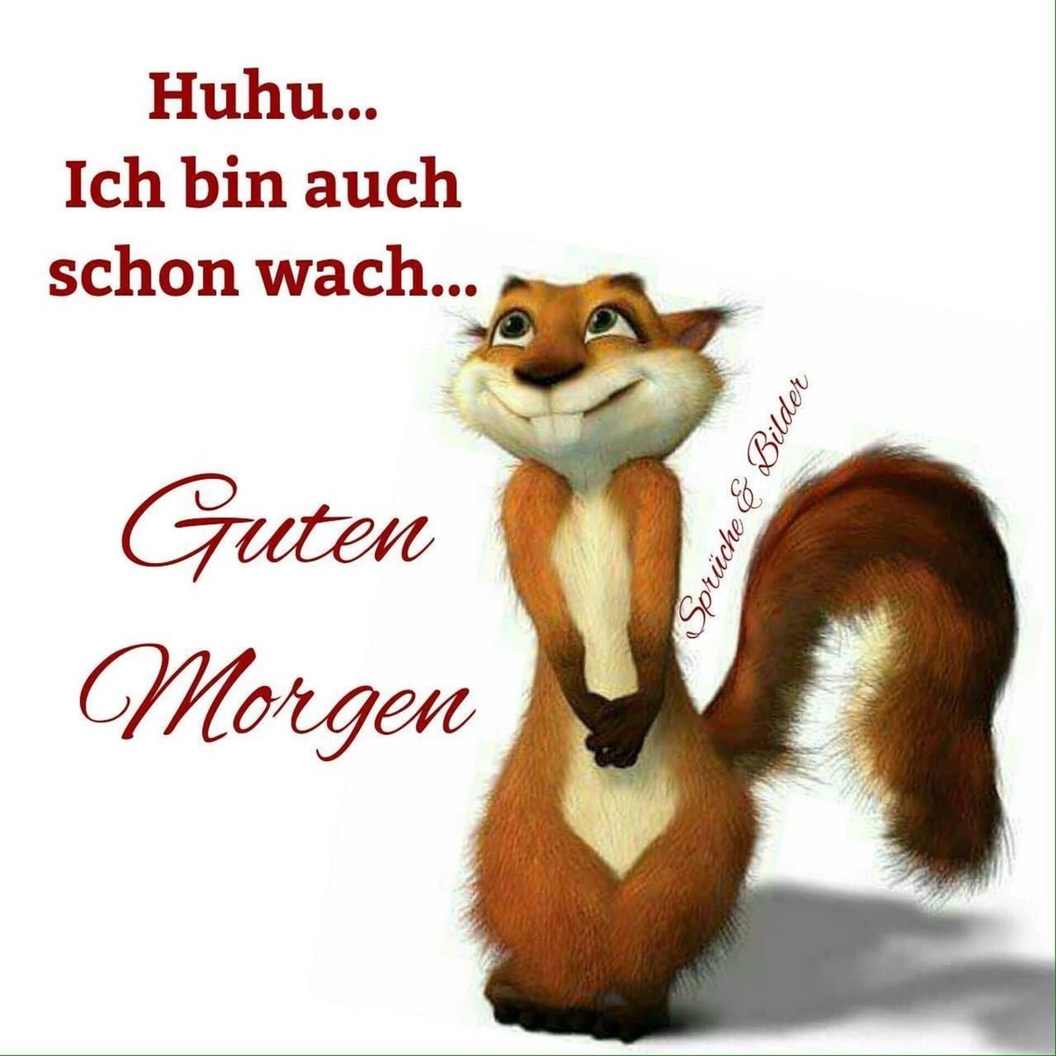 Guten nachricht WhatsApp