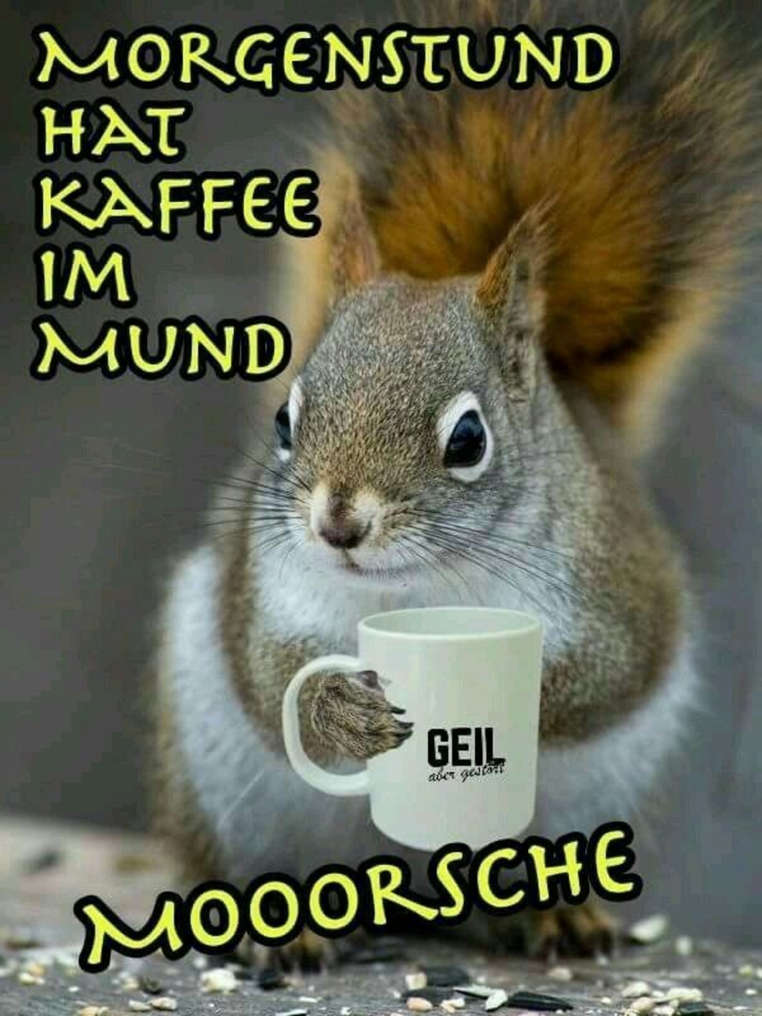 Guten Morgen nachricht WhatsApp 869