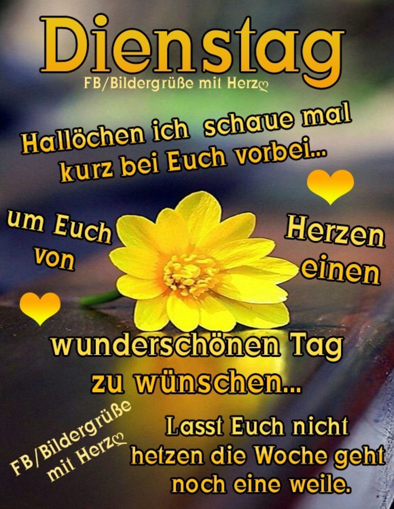 Guten Morgen Bilder für Dienstag: A Drawing Adventure for Every Day!