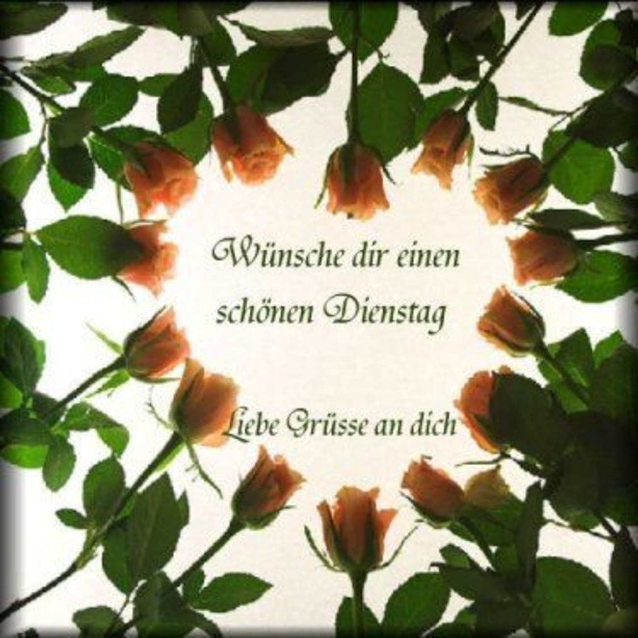 Guten Morgen schönen dienstag bilder 8
