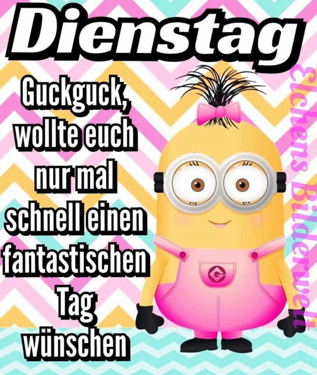 Guten Morgen schönen dienstag bilder 83