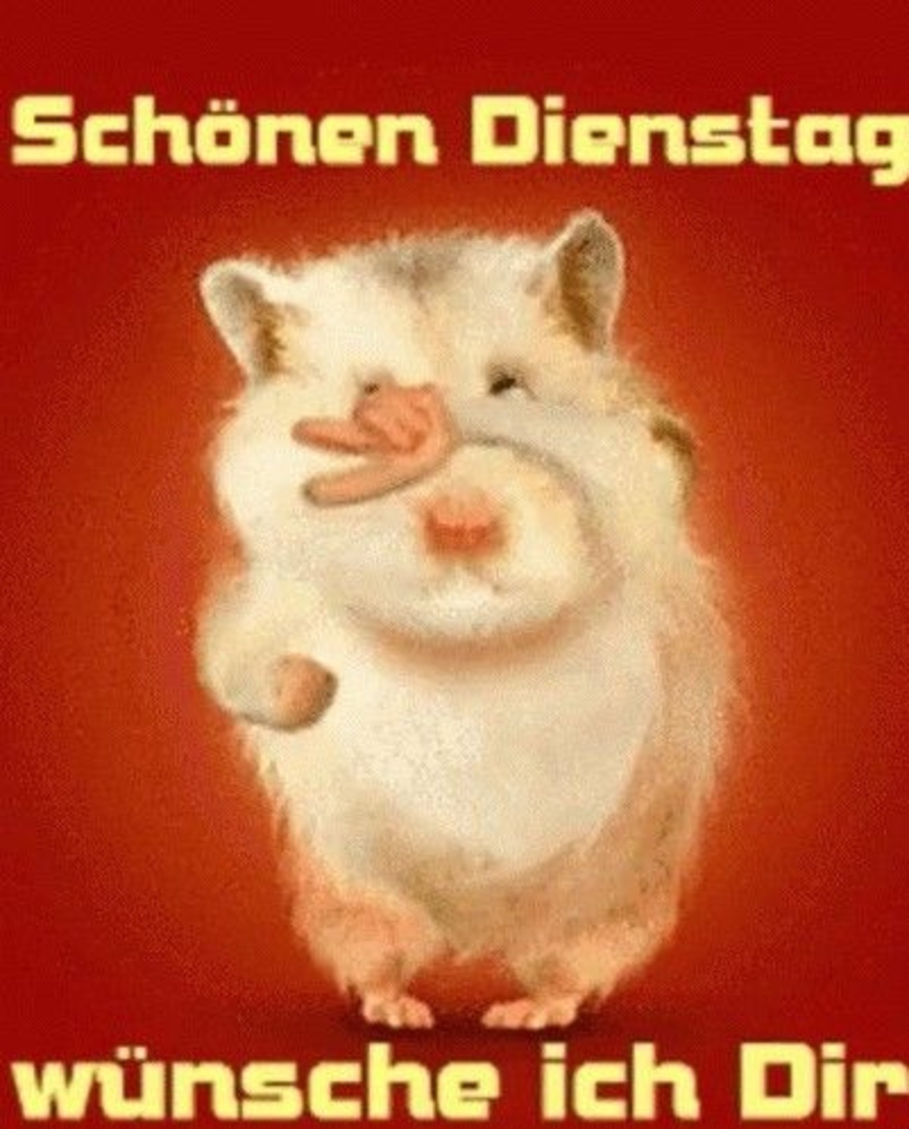 Guten Morgen schönen dienstag bilder 84