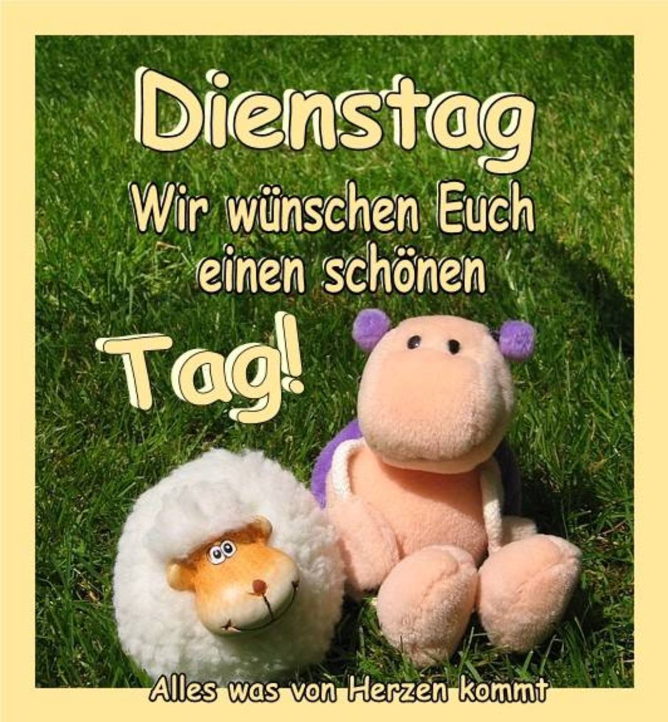 Guten Morgen schönen dienstag freunde 98