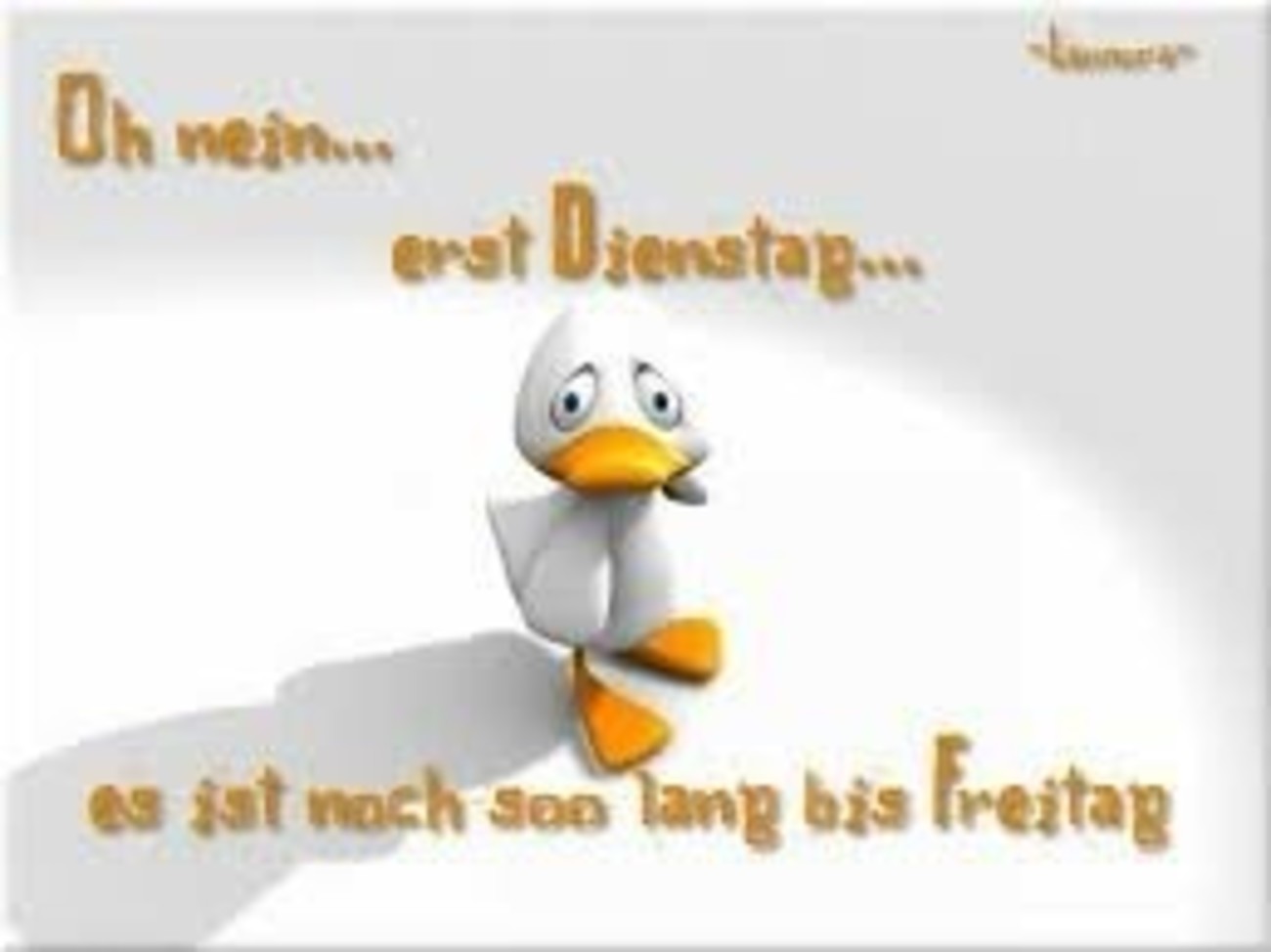 Guten Morgen schönen dienstag freunde 99
