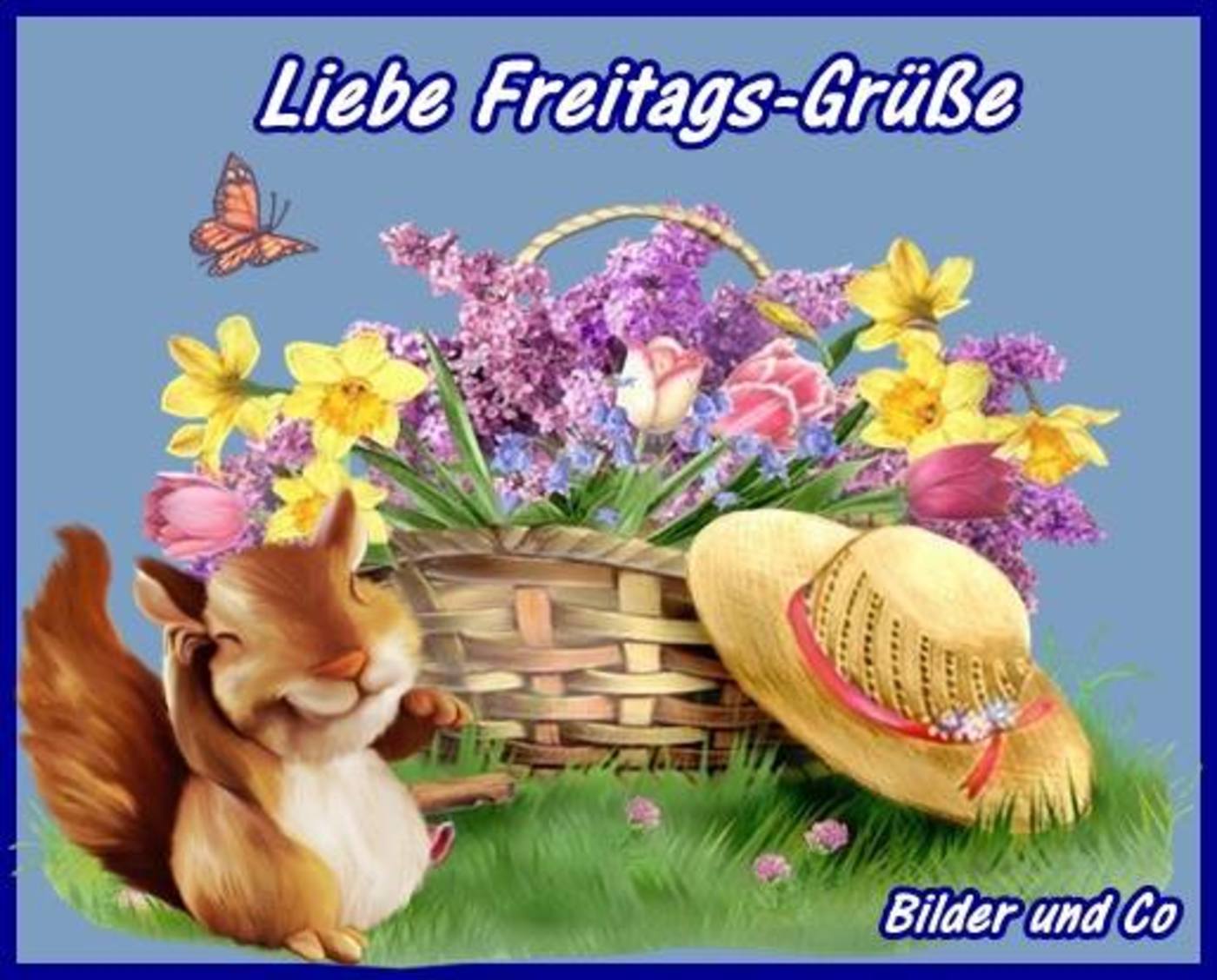 Guten Morgen schönen freitag bilder 6