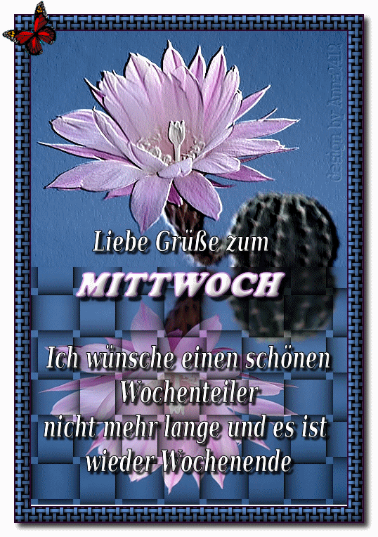 Guten Tag Schönen Mittwoch GIF 150