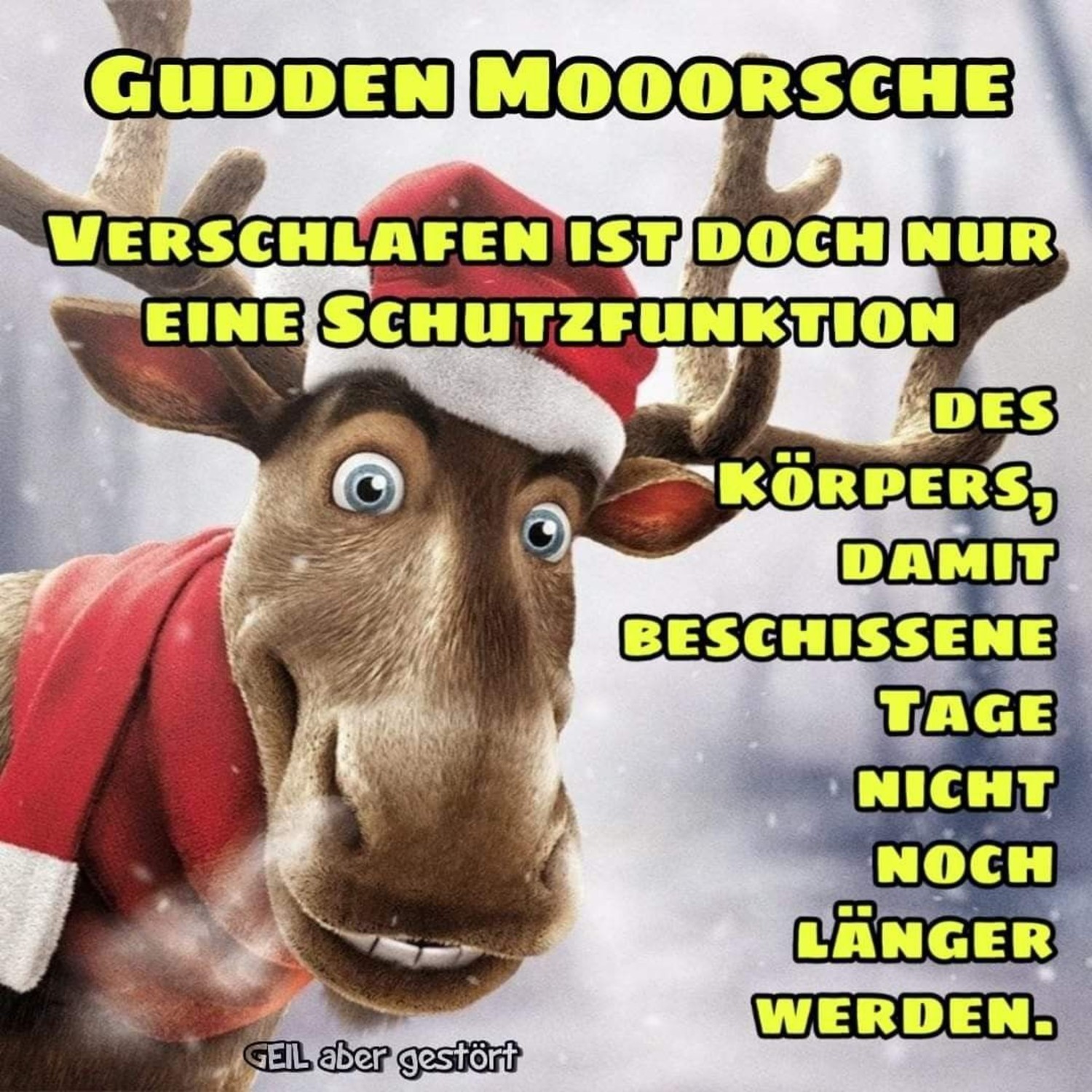 Gästebuch Bilder Guten Morgen 616