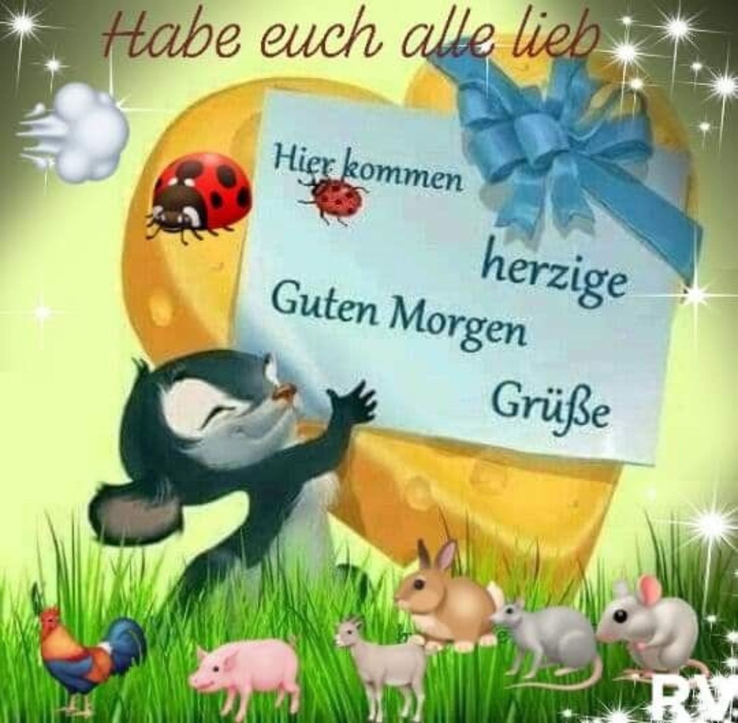 Hallo Guten Morgen 923