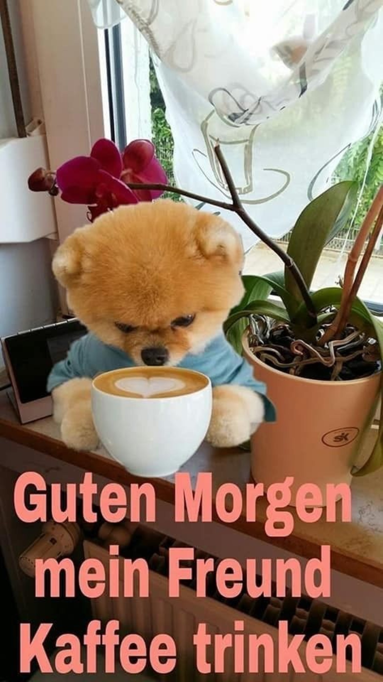 Hallo Guten Morgen 926