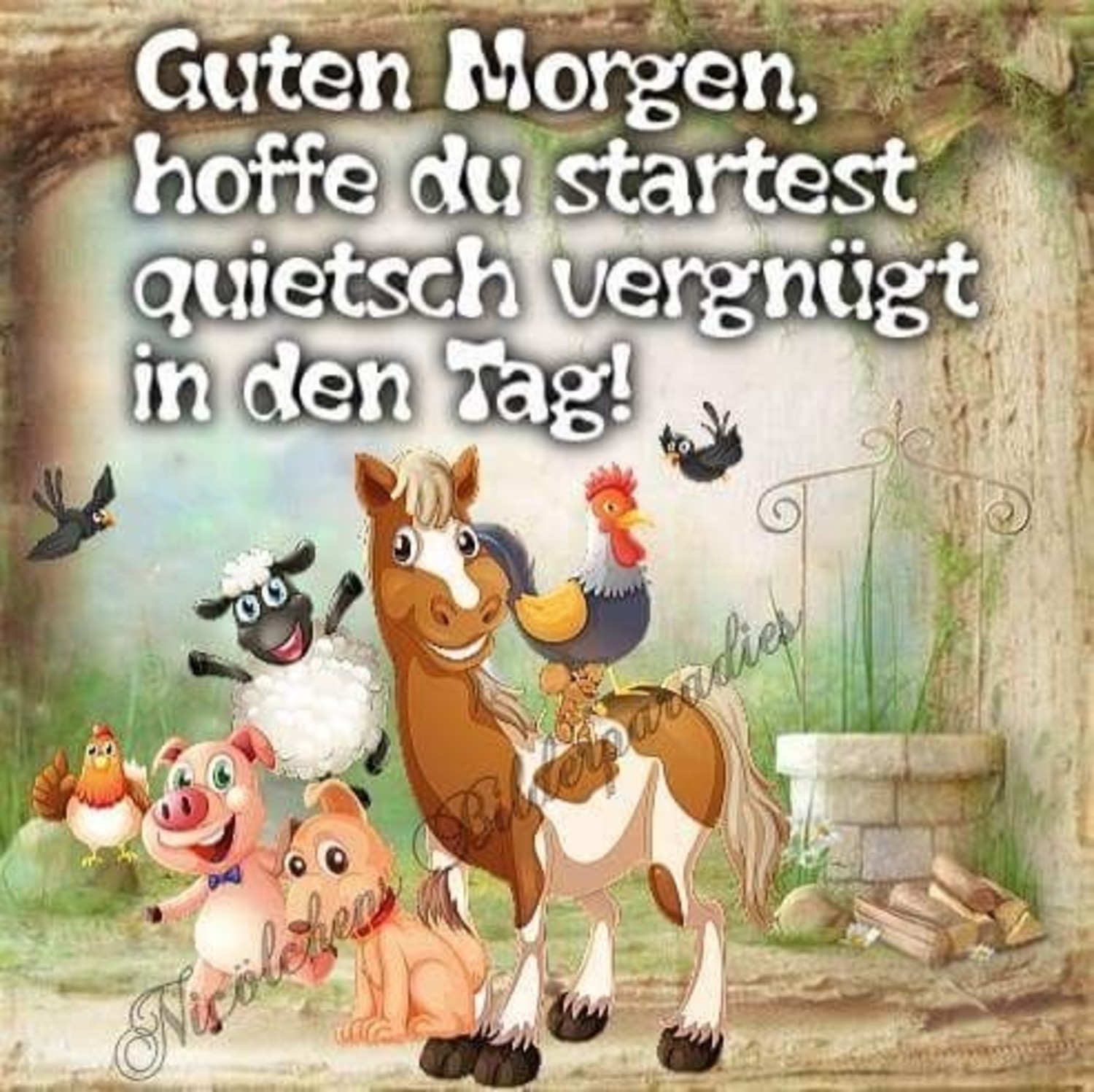 Hallo Guten Morgen 927