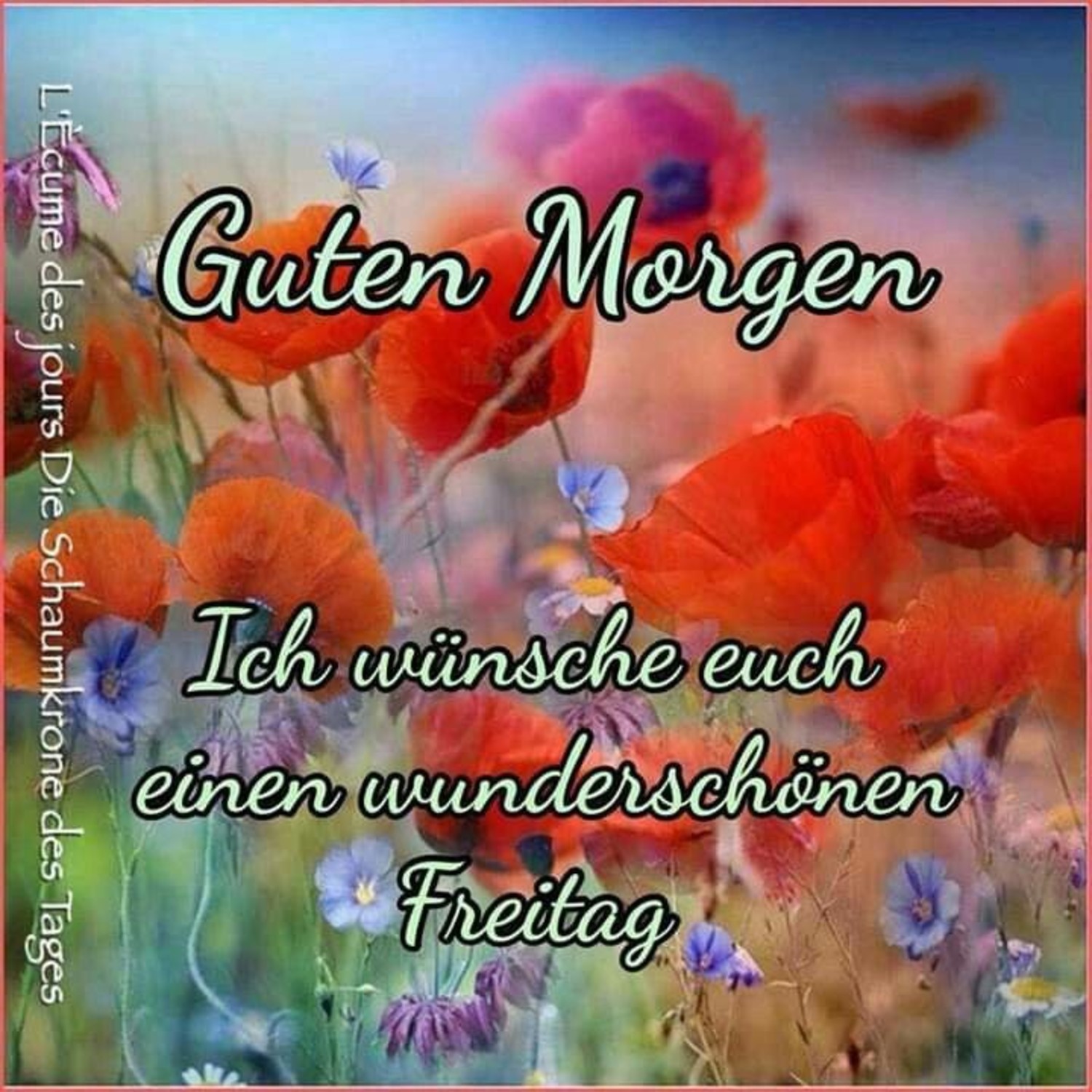 Jappy Bilder Guten Morgen 603