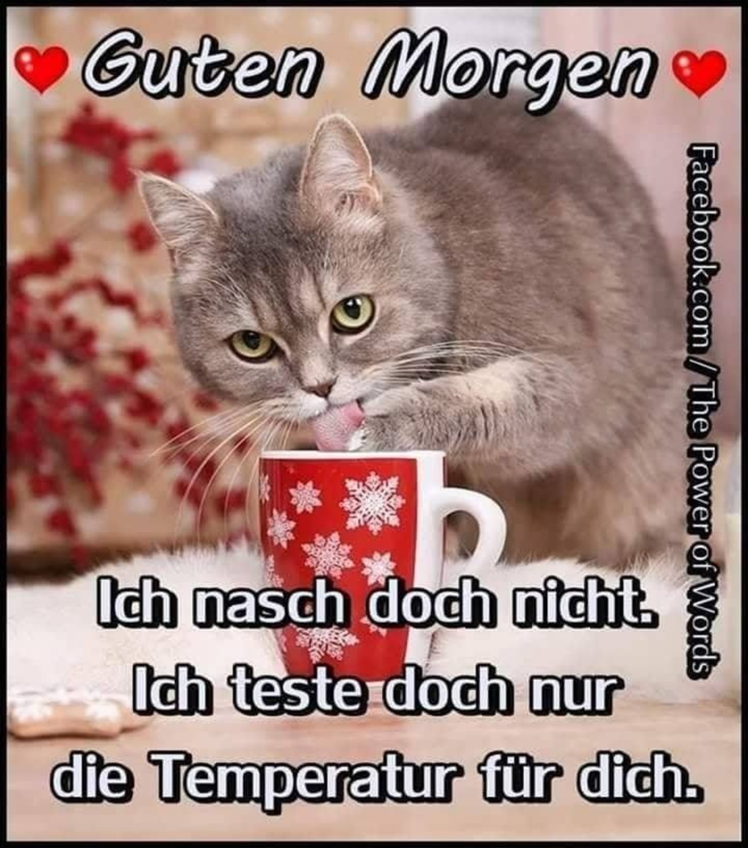Kostenlos bilder Facebook Schönen Tag - GBPicsBilder.com