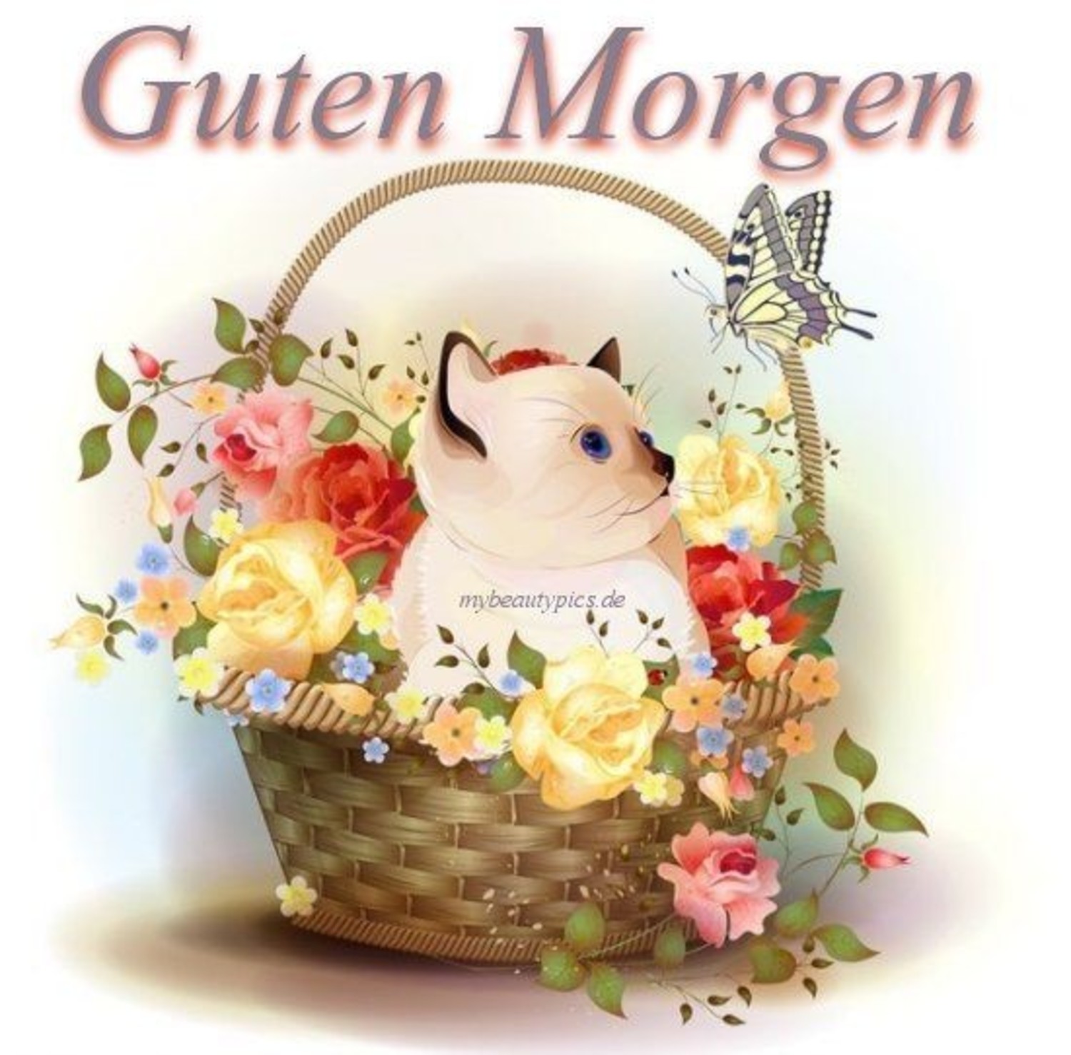 Kostenlos bilder WhatsApp Guten welt 694