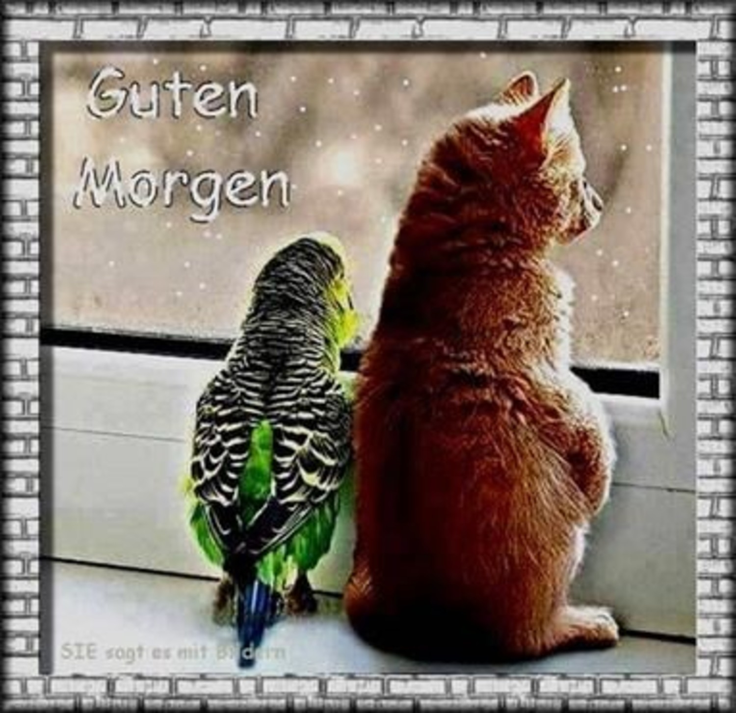 Kostenlos bilder WhatsApp Guten Morgen welt 699