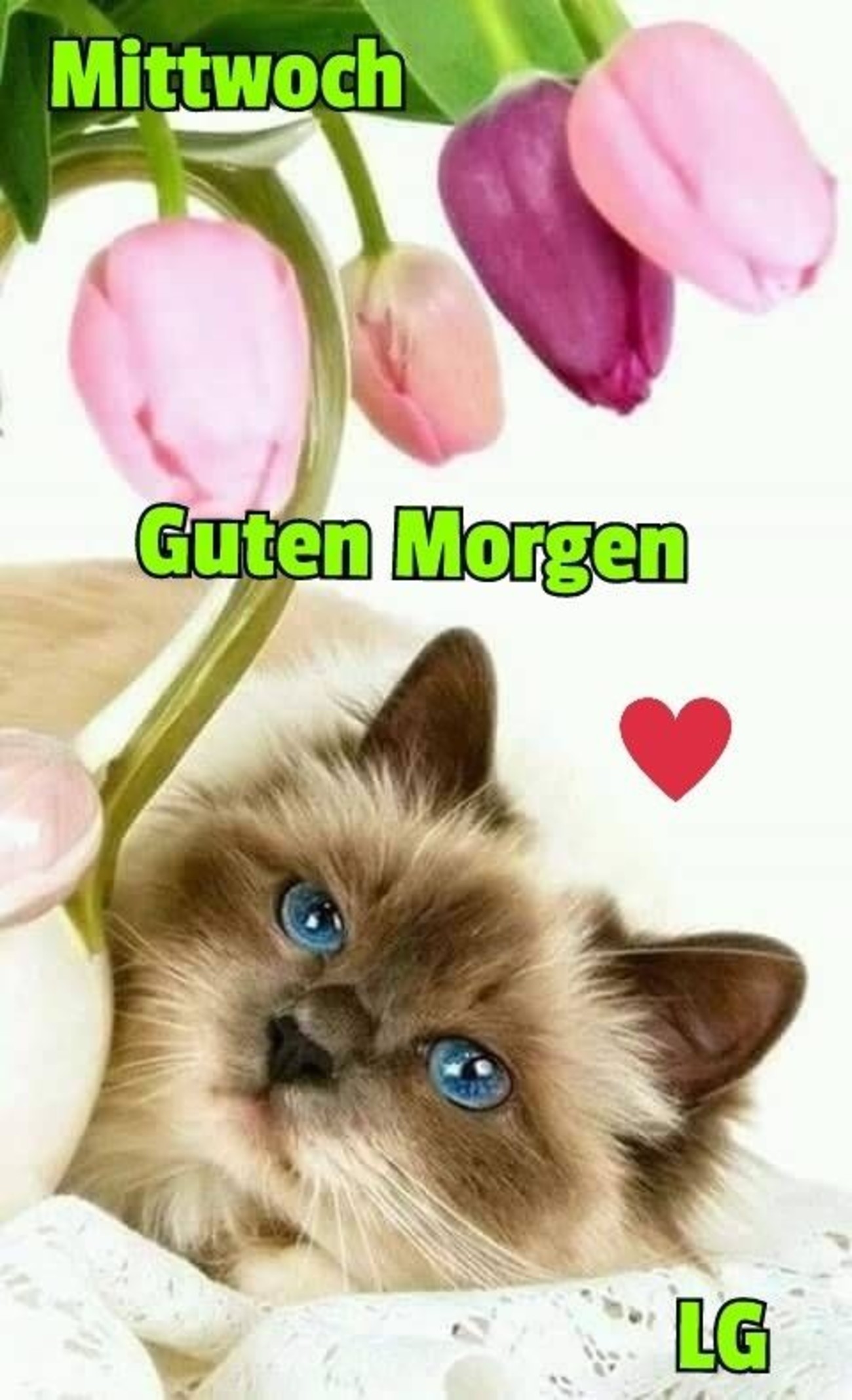 Mittwoch 1