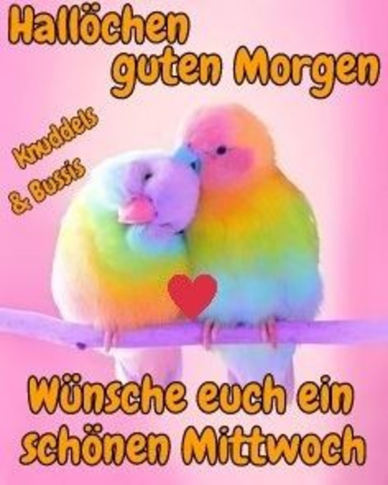Mittwoch 104