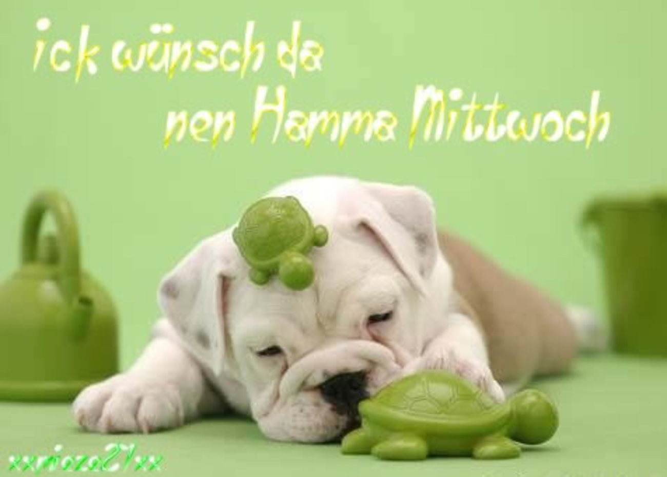 Mittwoch 105