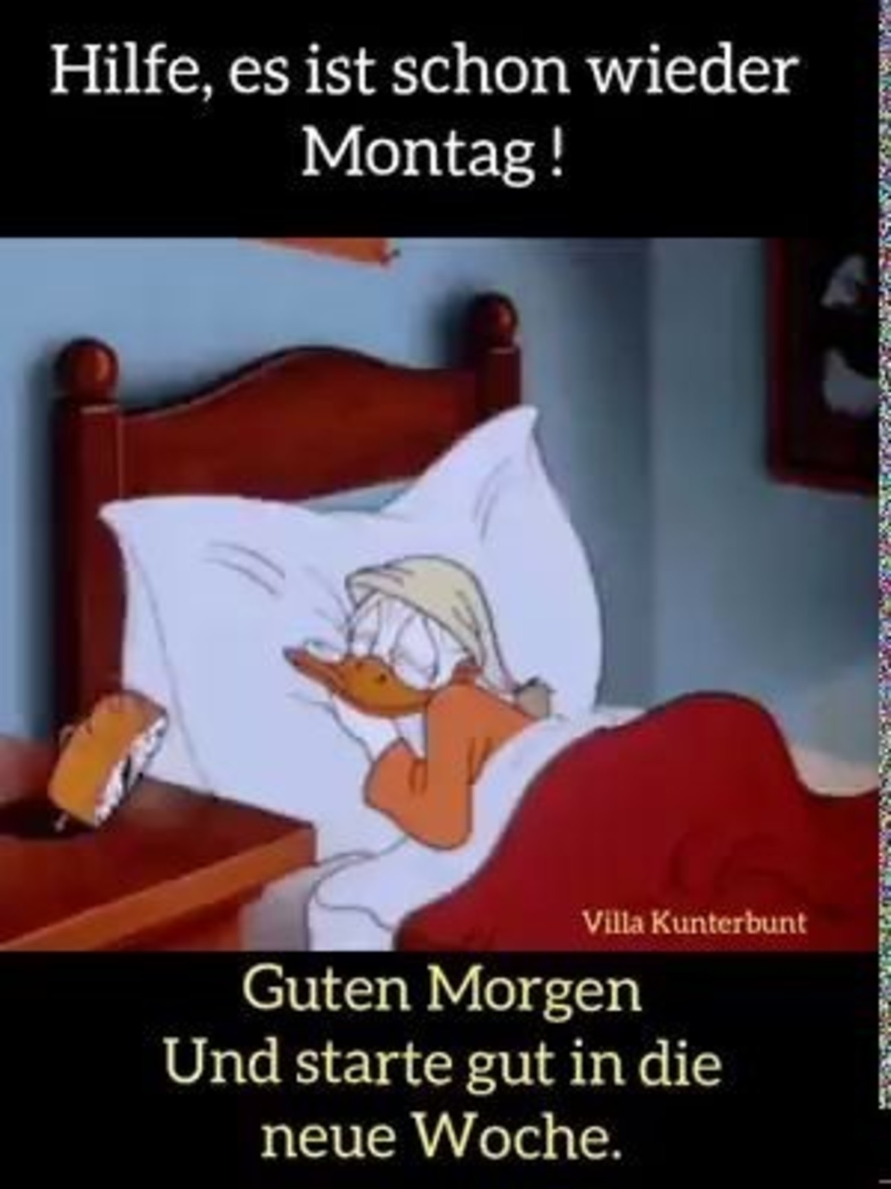 Montag 103