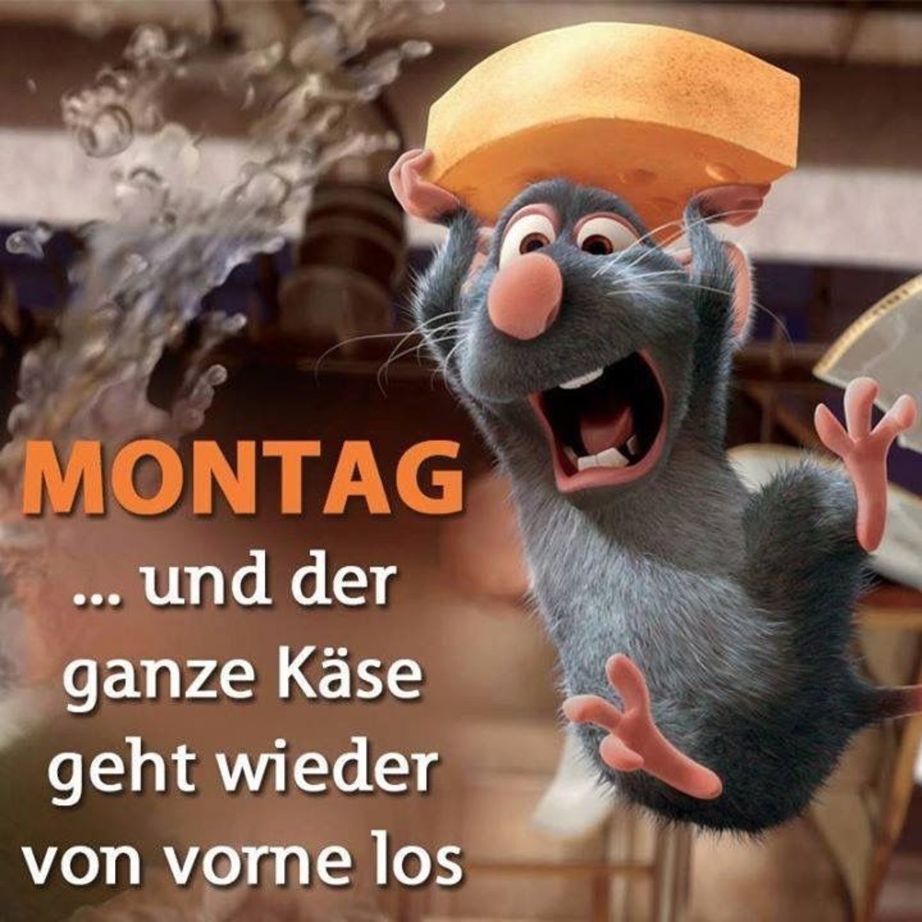 Es montag wieder morgen ist guten Guten Morgen