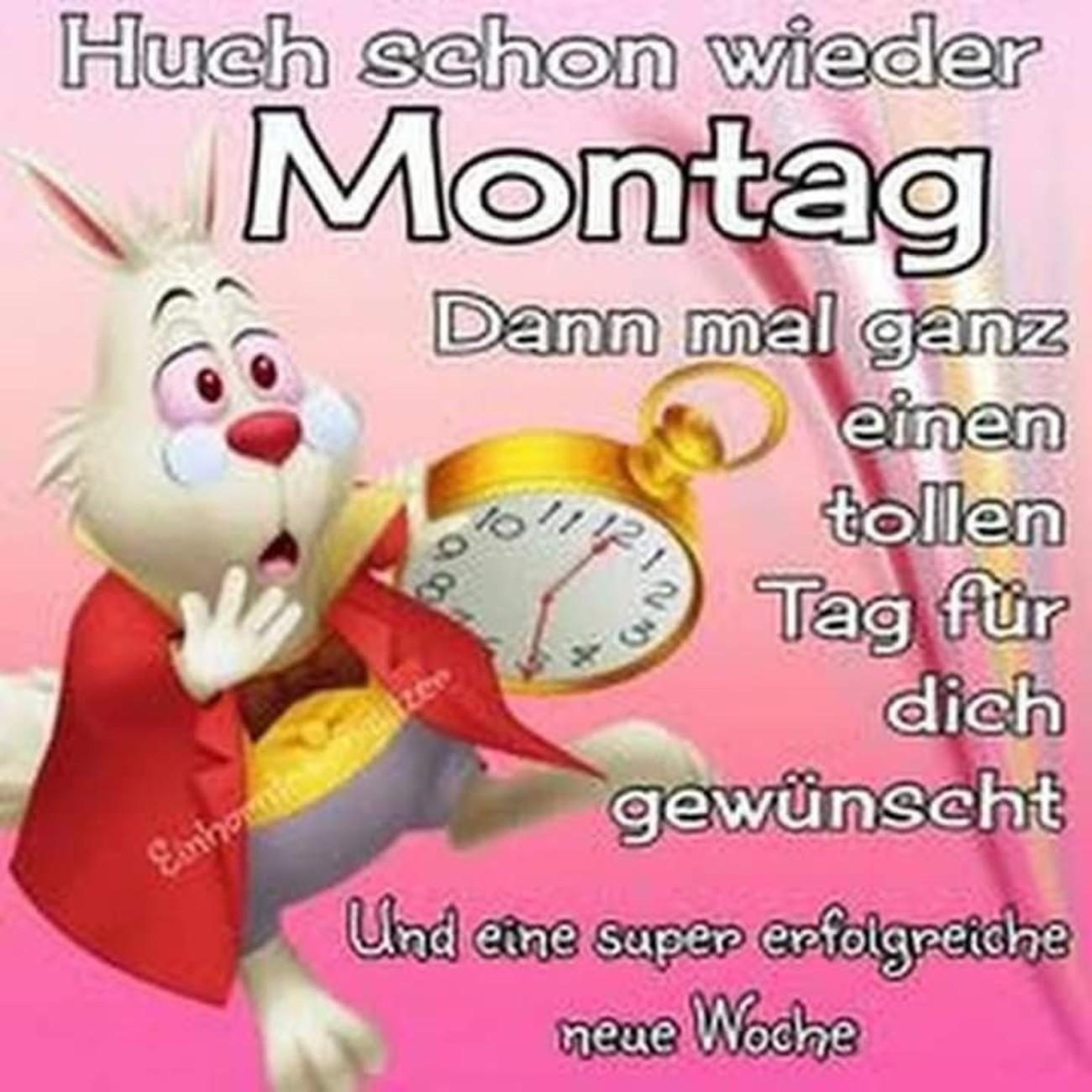 Montag Guten Morgen 178