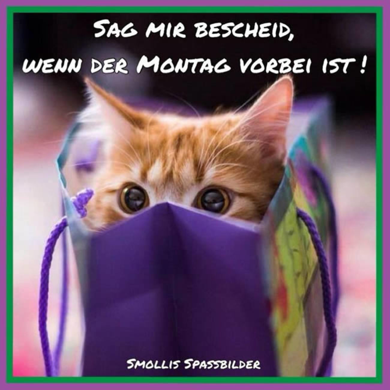 Montag Guten Morgen 179