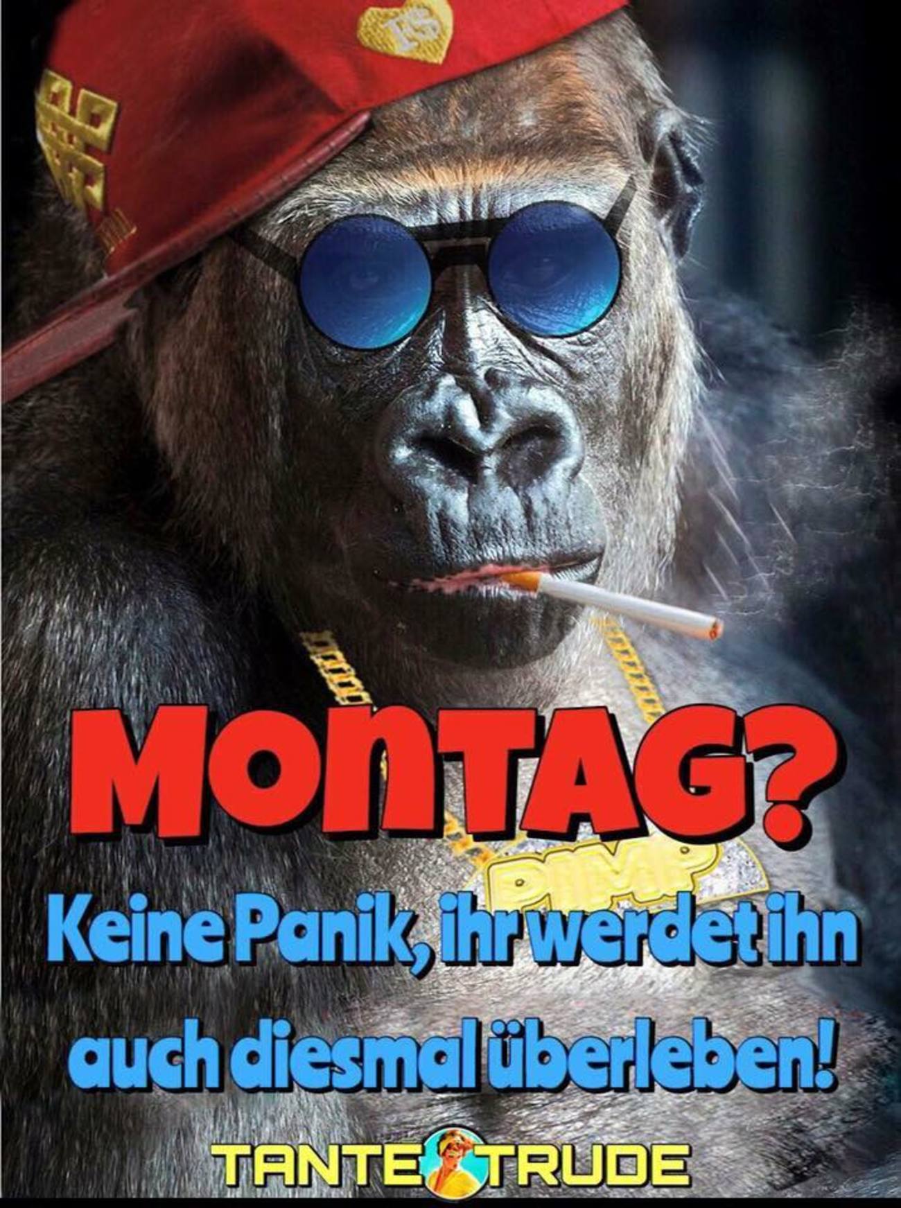 Montag Schönen start in die neue woche 96