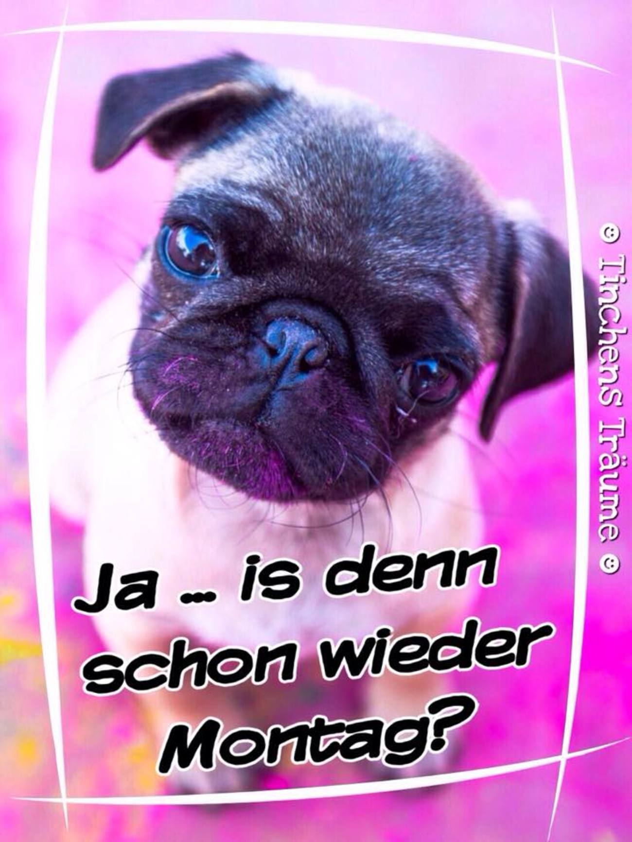 Montag bilder sprüche 36