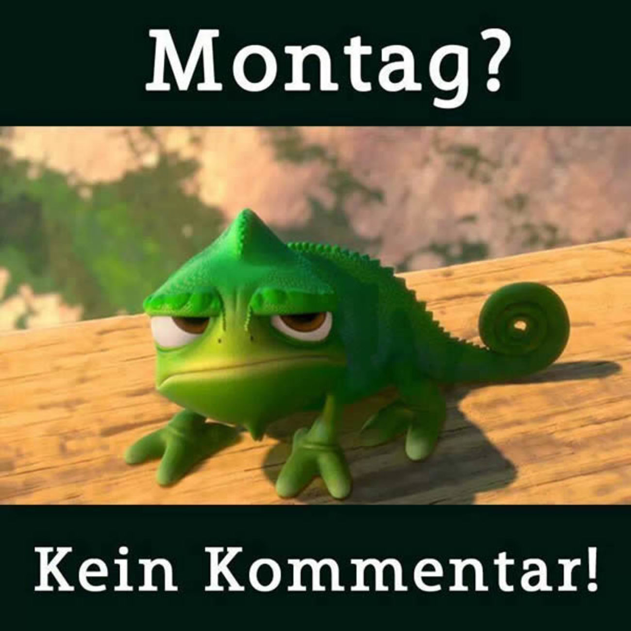 Montag kein kommentar 172