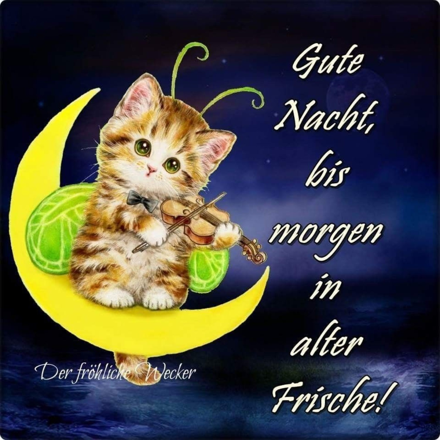 Pinterest Gute Nacht 842